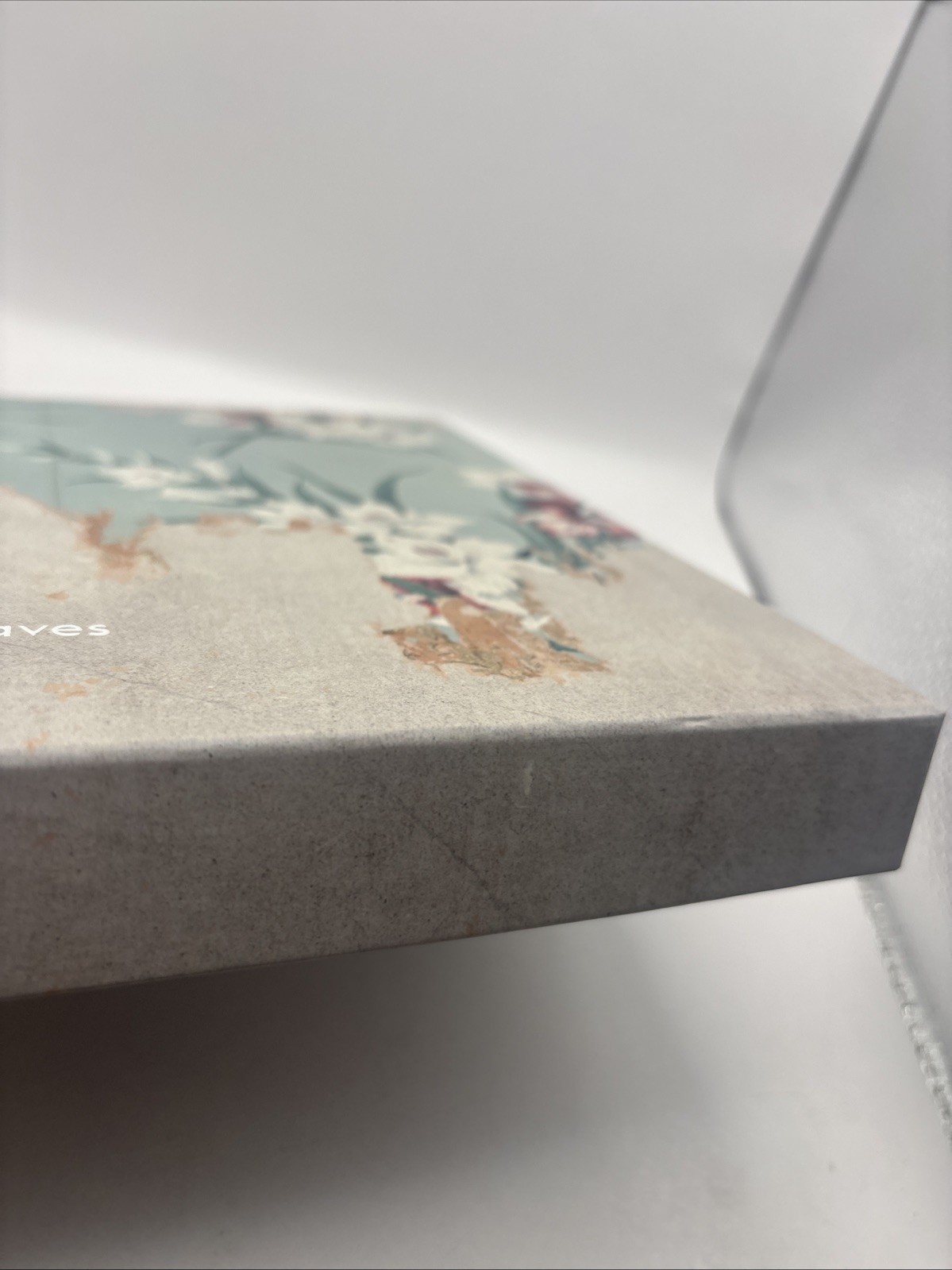Signed Alec Soth Limited Edition Box With Postcards – Gathered Leaves