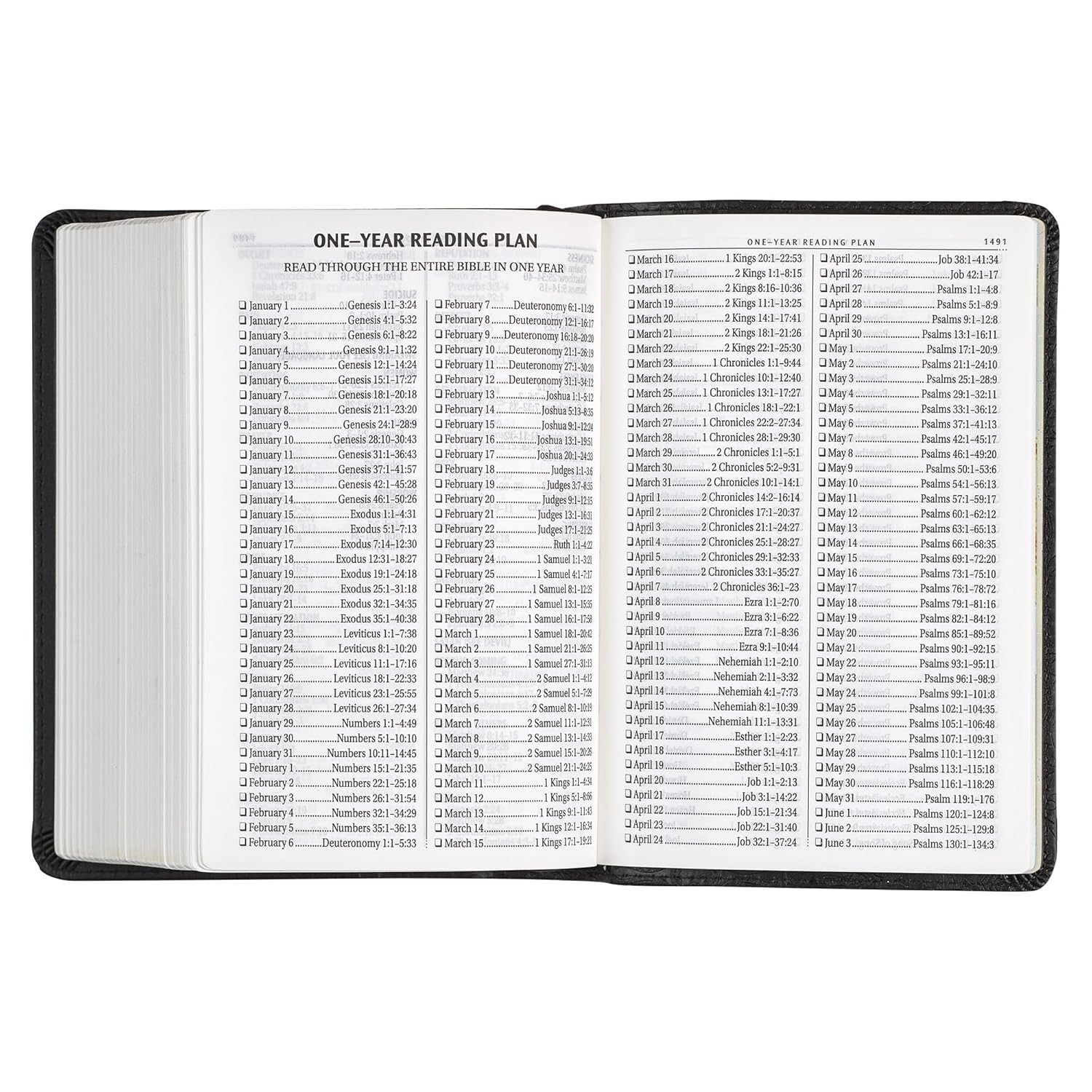 KJV Holy Bible, Compact Large Print Faux Leather Red Letter Edition – Ribbon Mar