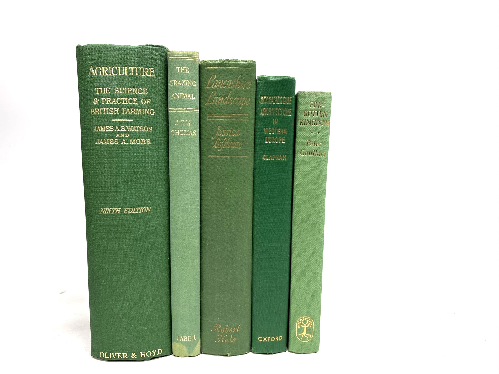 Vintage Green Books for Decoration. 17.5cm shelf space.