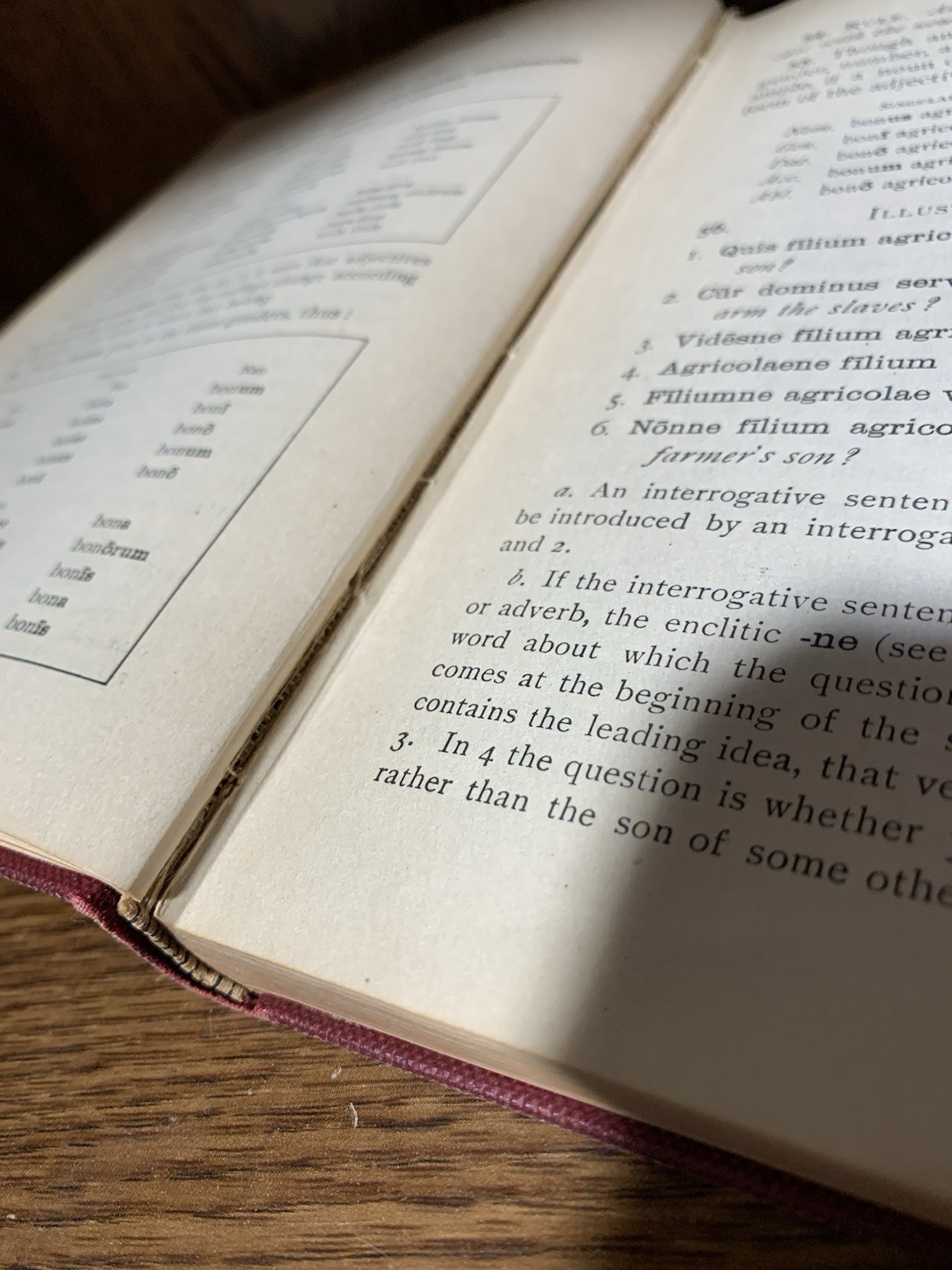 Introductory Latin By Frank Prescott Moulton