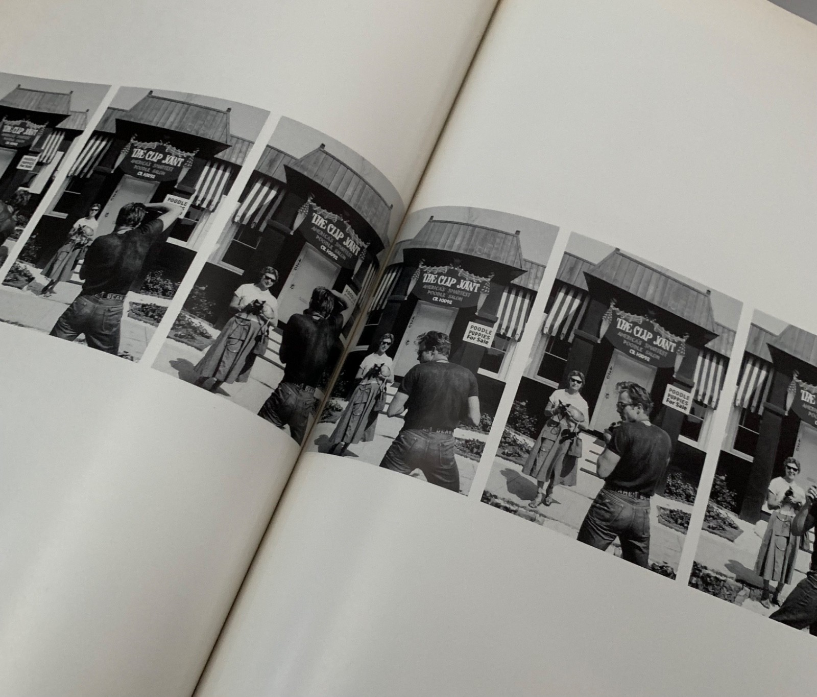 JAMES DEAN SANFORD ROTH 1983 LARGE ILLUSTRATED PHOTOGRAPHIC BOOK HOLLYWOOD FILM