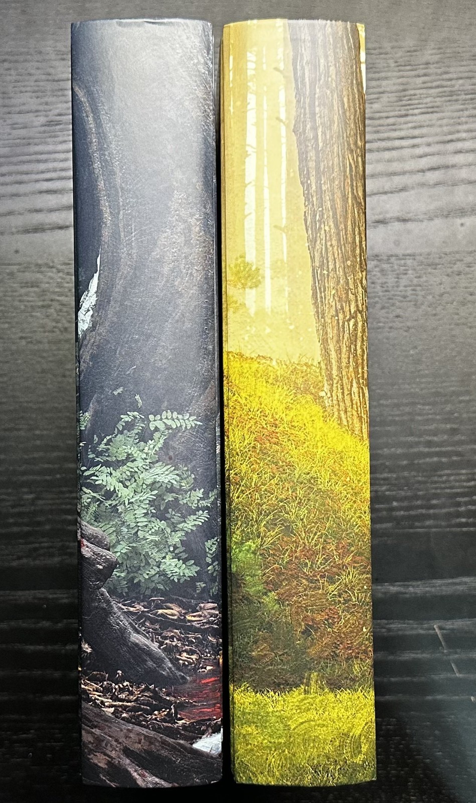 Broken Binding – Malice & Valour John Gwynne The Faith and the Fallen Tier 2 NEW