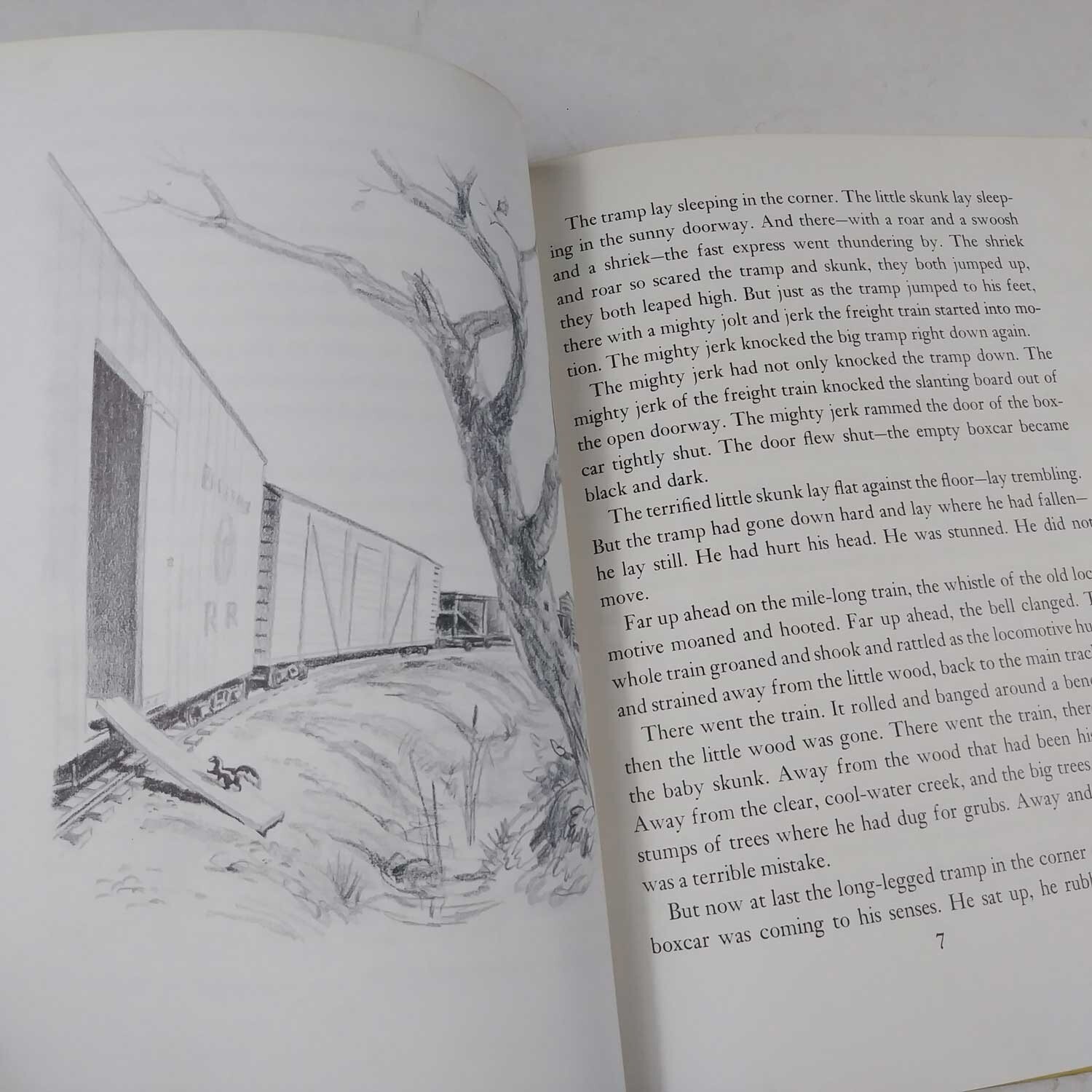 1951 Smoke Above the Lane by Meindert De Jong HC 58 Pages Library Copy