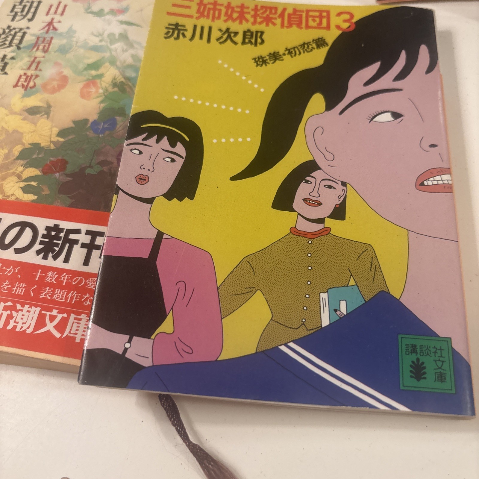 Japanese Paperback Pocket Books Novels Variety Lot 13. See Photos (bk9