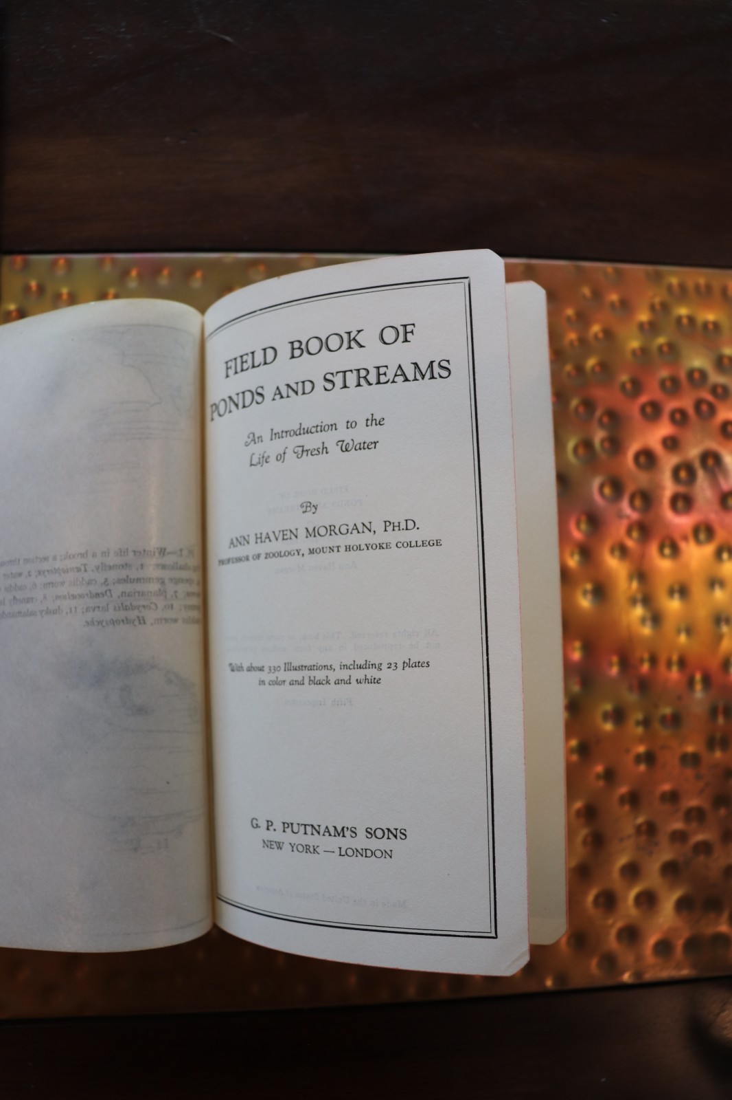 Field Book Of Ponds And Streams – 1930, Ann Haven Morgan, Illustrated, Putnam