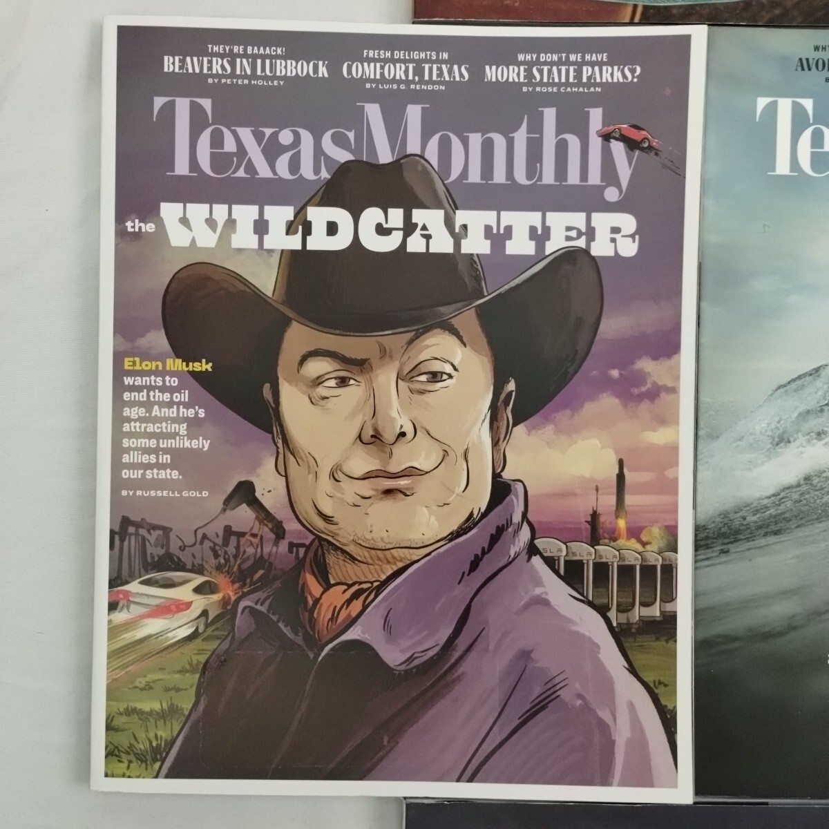 TEXAS MONTHLY Magazine Lot Of 10 2020-2022-2023 Elon Musk Hogs Tanya Tucker #1