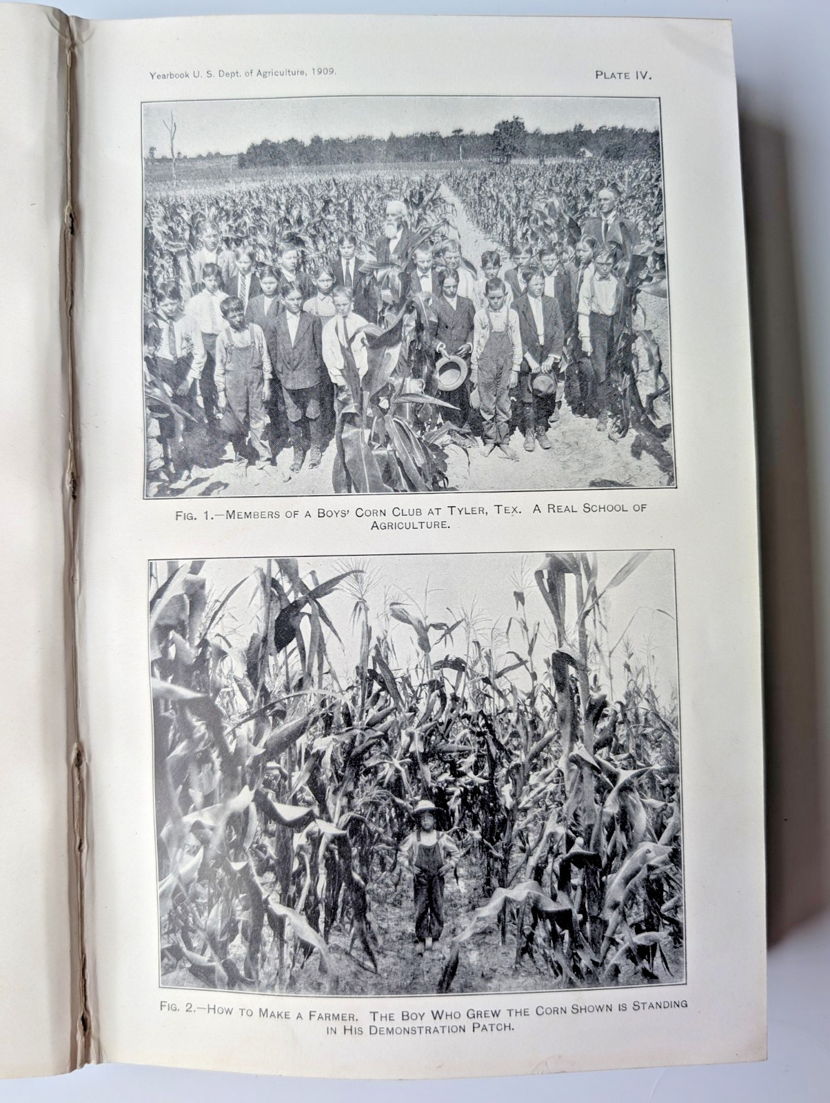 Yearbook of the U.S. Department of Agriculture, 1909 Illustrated Antique HC Book