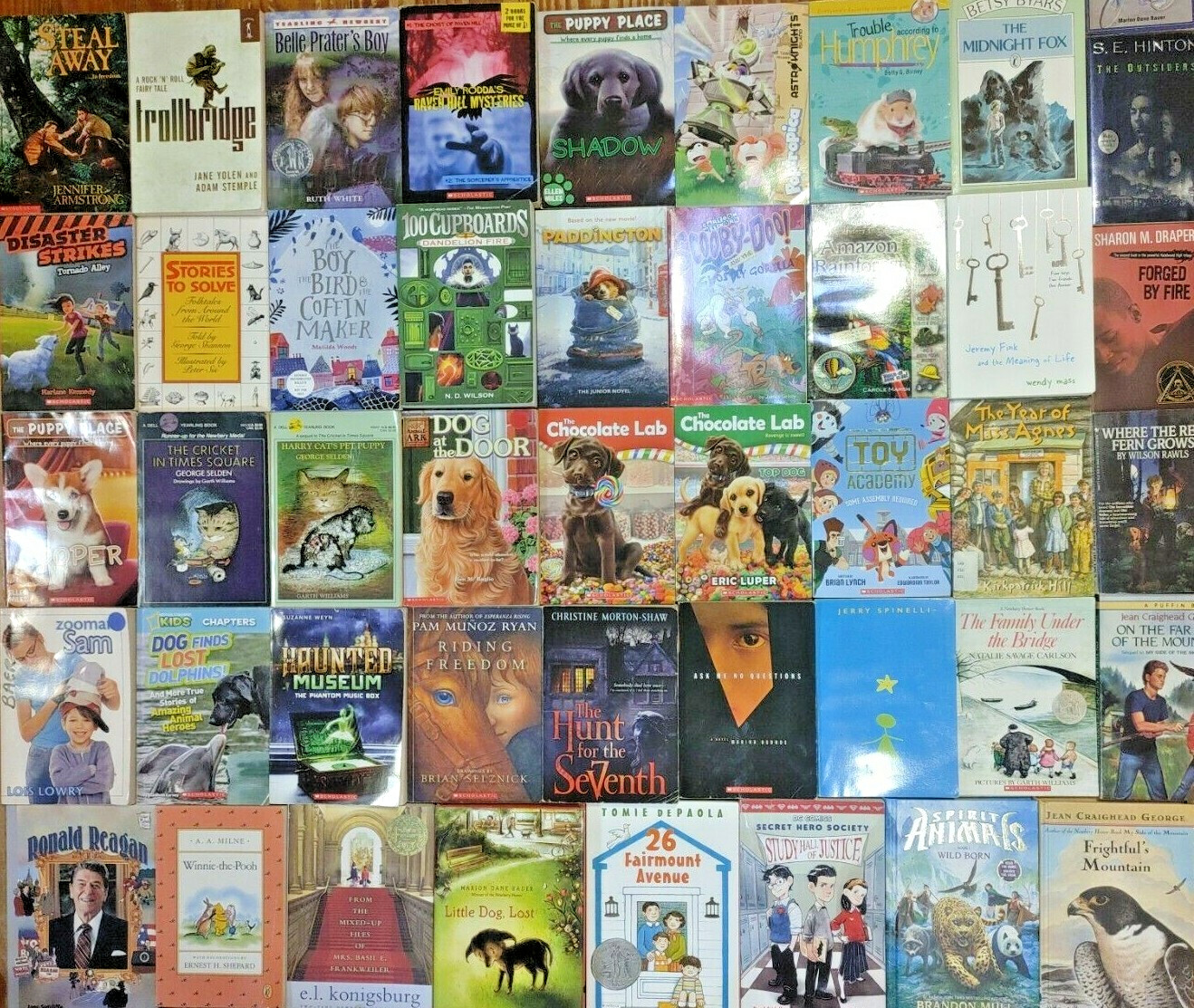 RANDOM Lot of 100 4th Grade AR Chapter Books RL Level 4.0-4.9 Homeschool Teacher