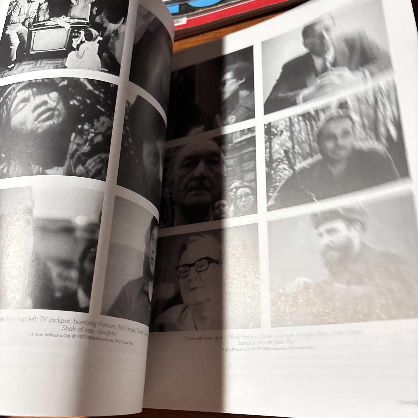 VTG 2009 Film Quarterly: 35 Shots of Run Claire Denis / True Blood Vampires