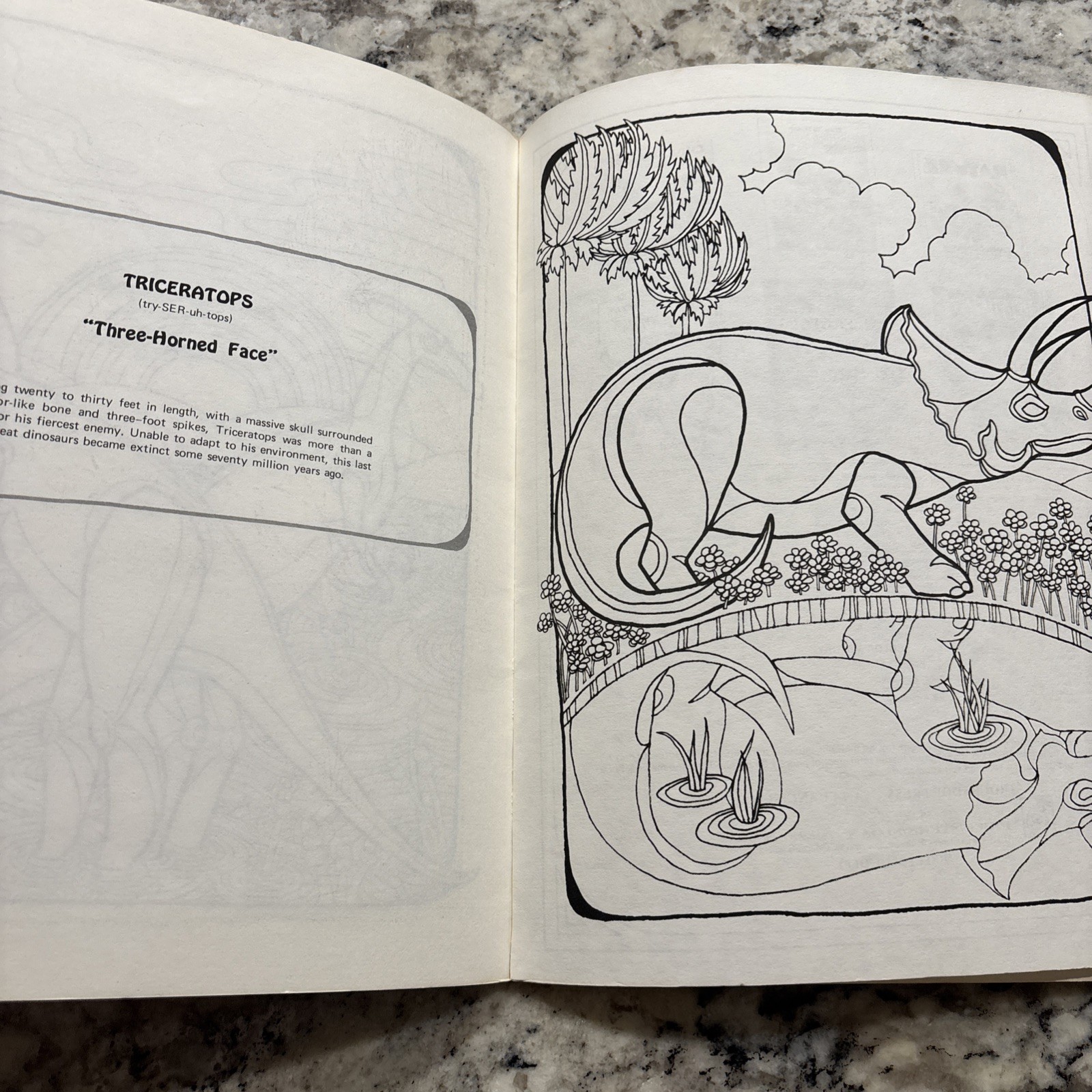 Dinosaur Coloring Book Troubador Press 1970 Retro Unused Oversized