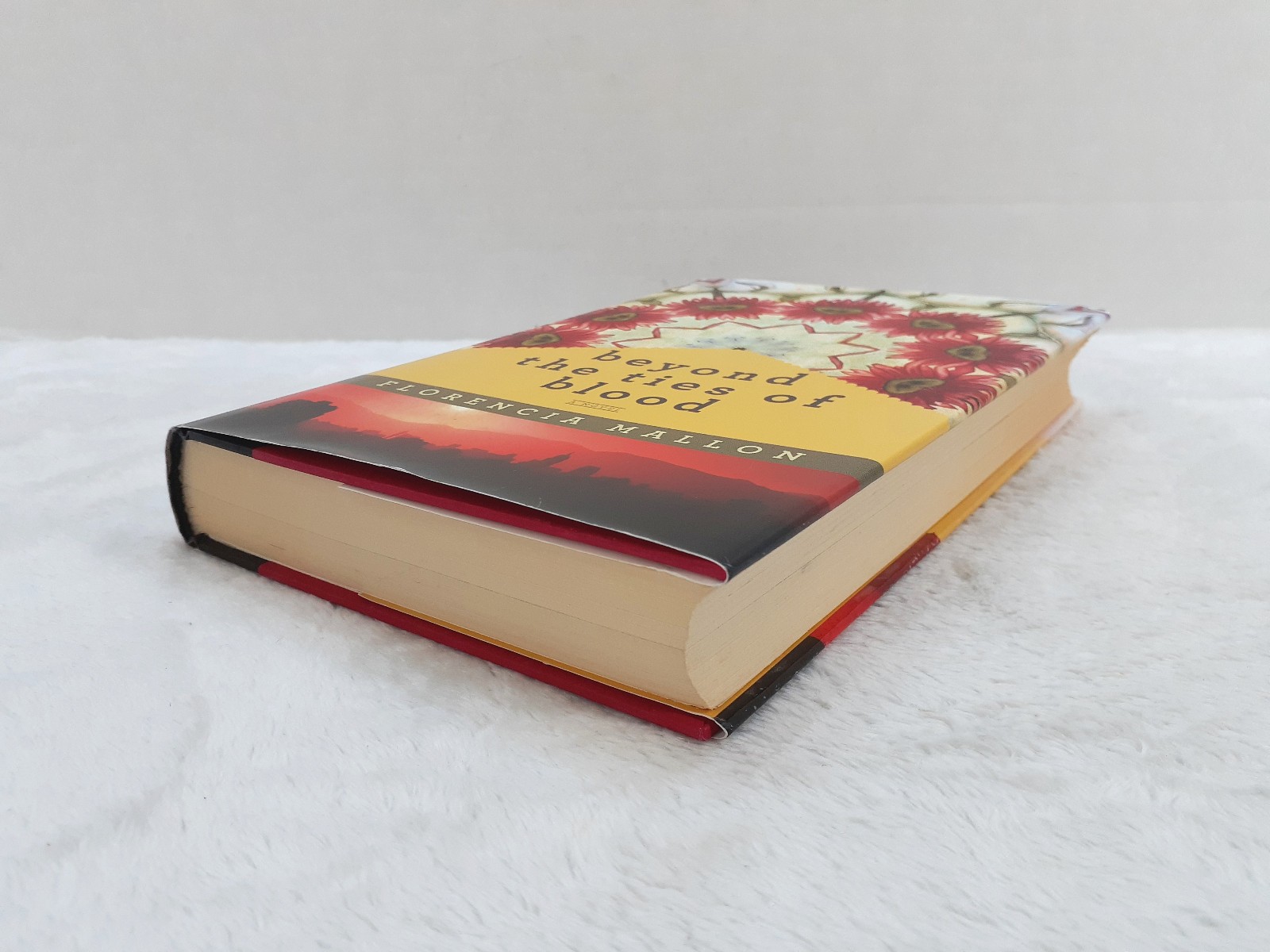 Beyond the Ties of Blood Book HC by Florencia Mallon Dust Jacket Signed