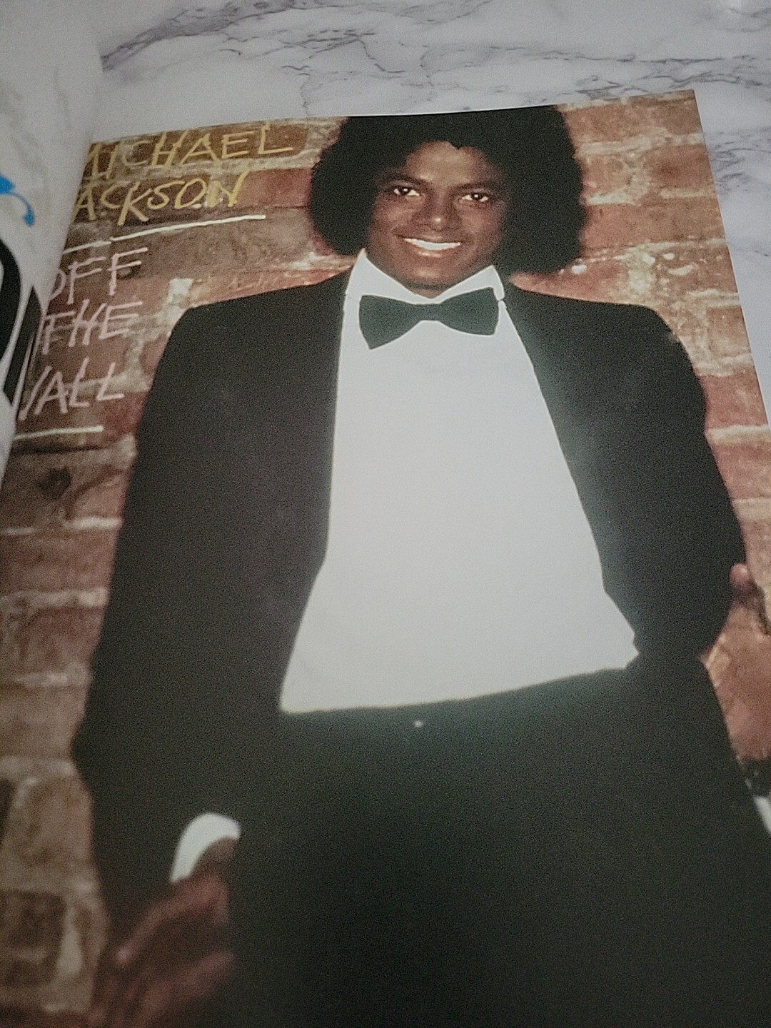 Michael Jackson : The One and Only Triumph Books (2009) TRIBUTE Chicago VINTAGE