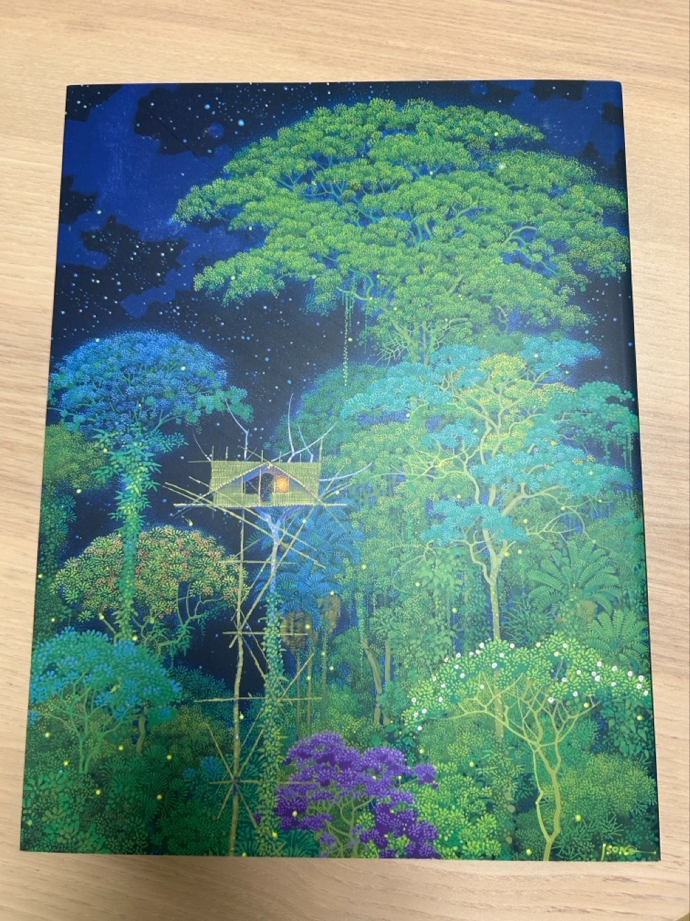 Hiroo Isono Emerald Forest + Emerald Dream Art Books Set Secret of Mana Artist