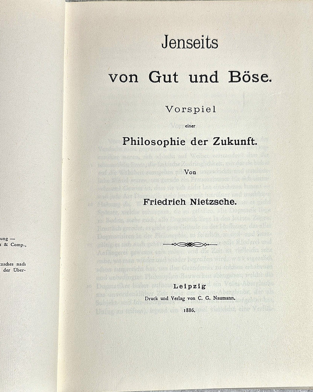 Nietzsche Werke • Jenseits & Genealogie ( Vol. 2 • de Gruyter 1968) • VG