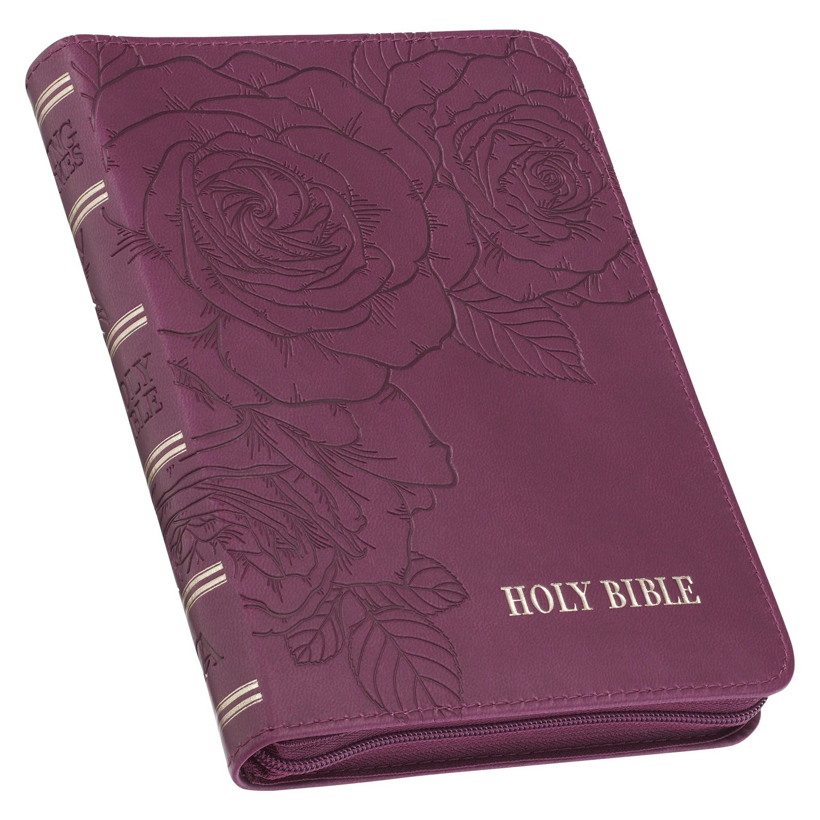 KJV Holy Bible, Compact Vegan Leather Red Letter Edition – Ribbon Marker, Ki…