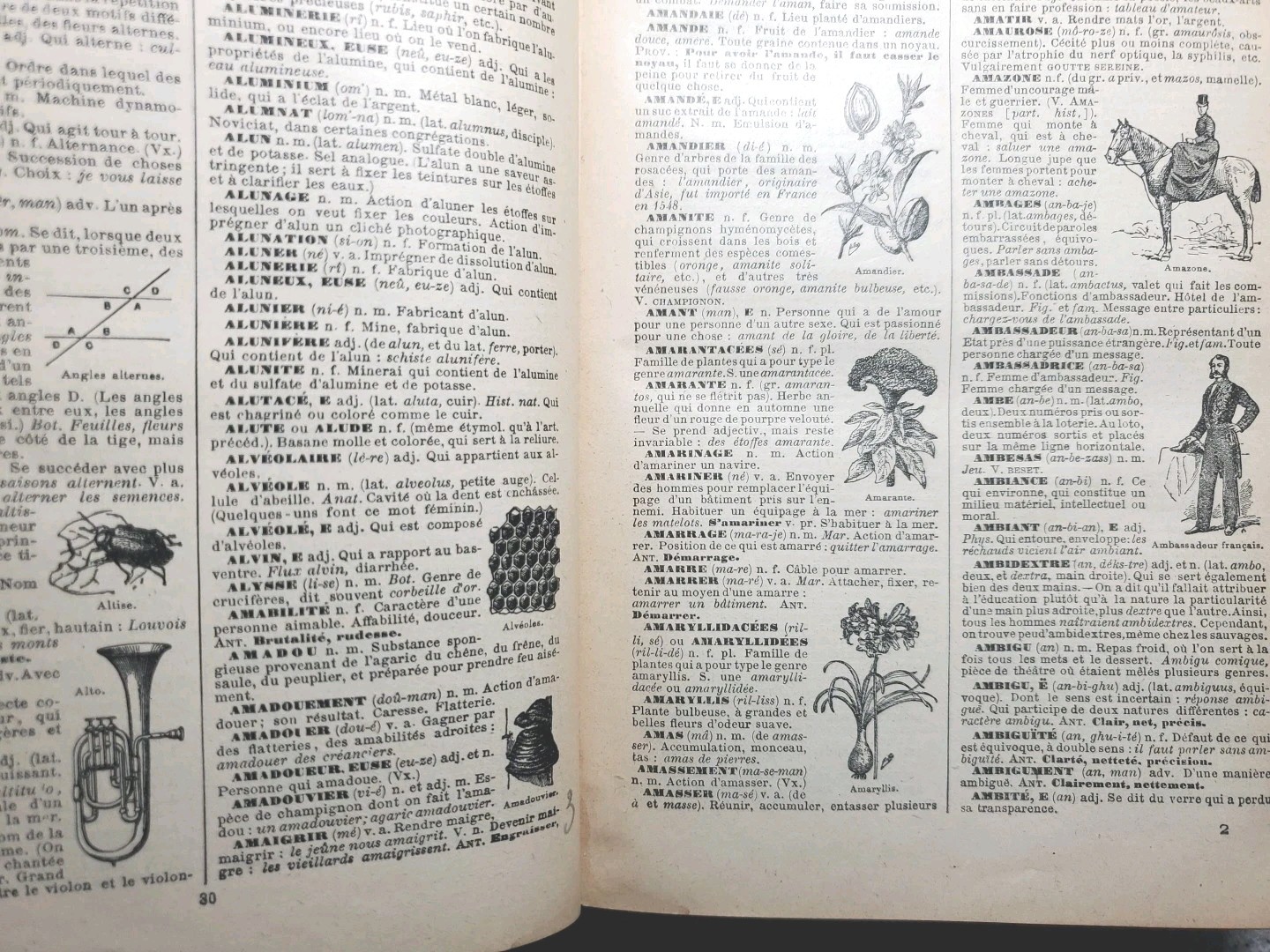 Antique 1920s Petit Larousse Illustrated Dictionary Paris HC French 1664 Pages