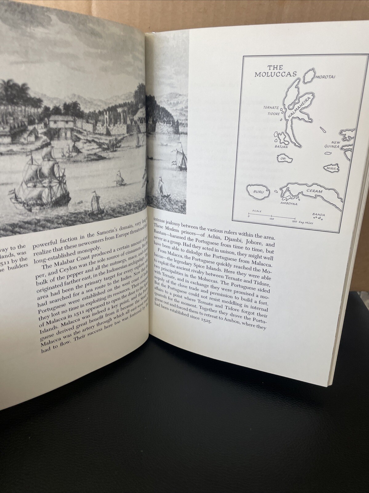 MONEY TREES The Spice Trade MASSELMAN Trade Route Series ILLUSTRATED Ex Library