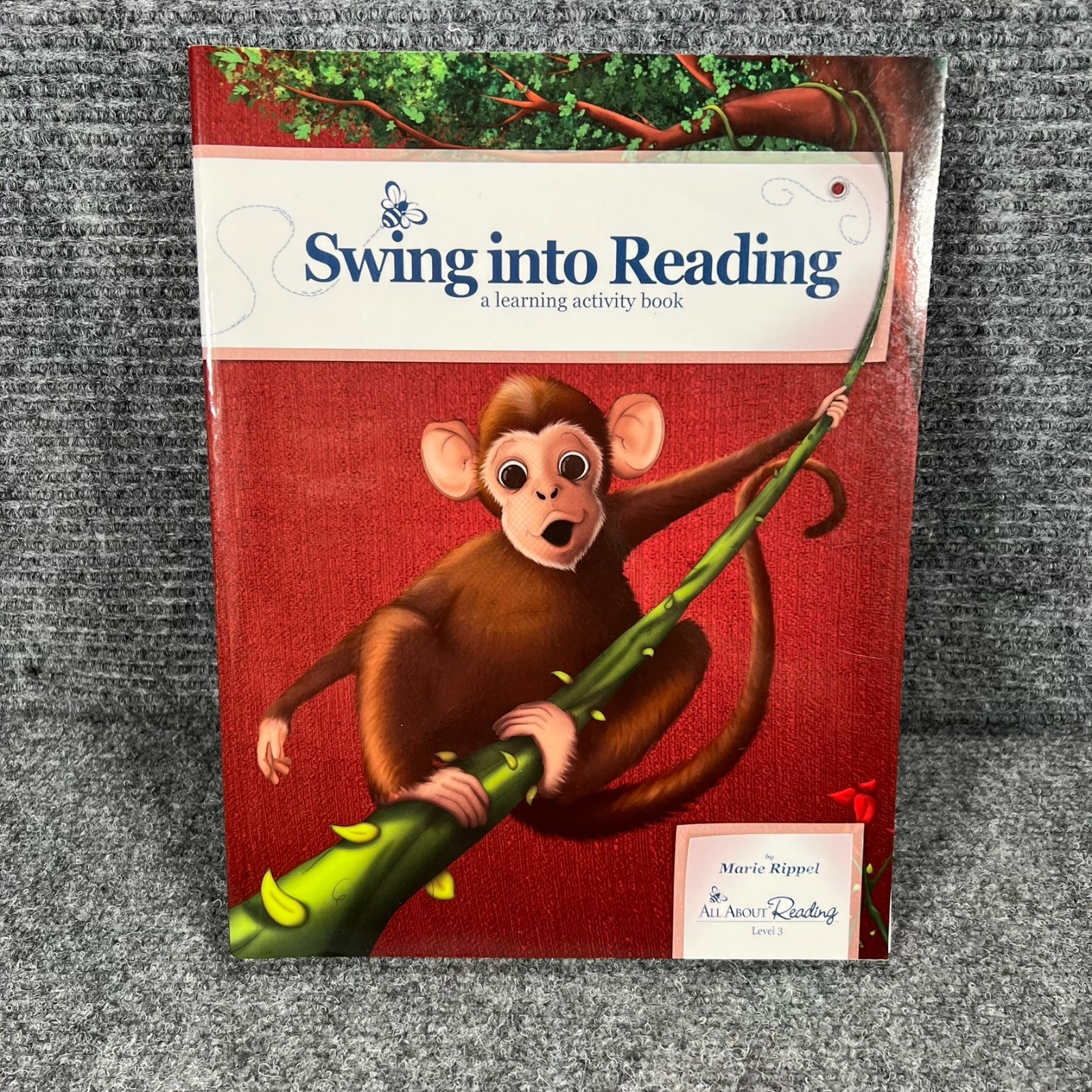 Swing into Reading Activity Book Marie Rippel- All About Reading Level 3- Used