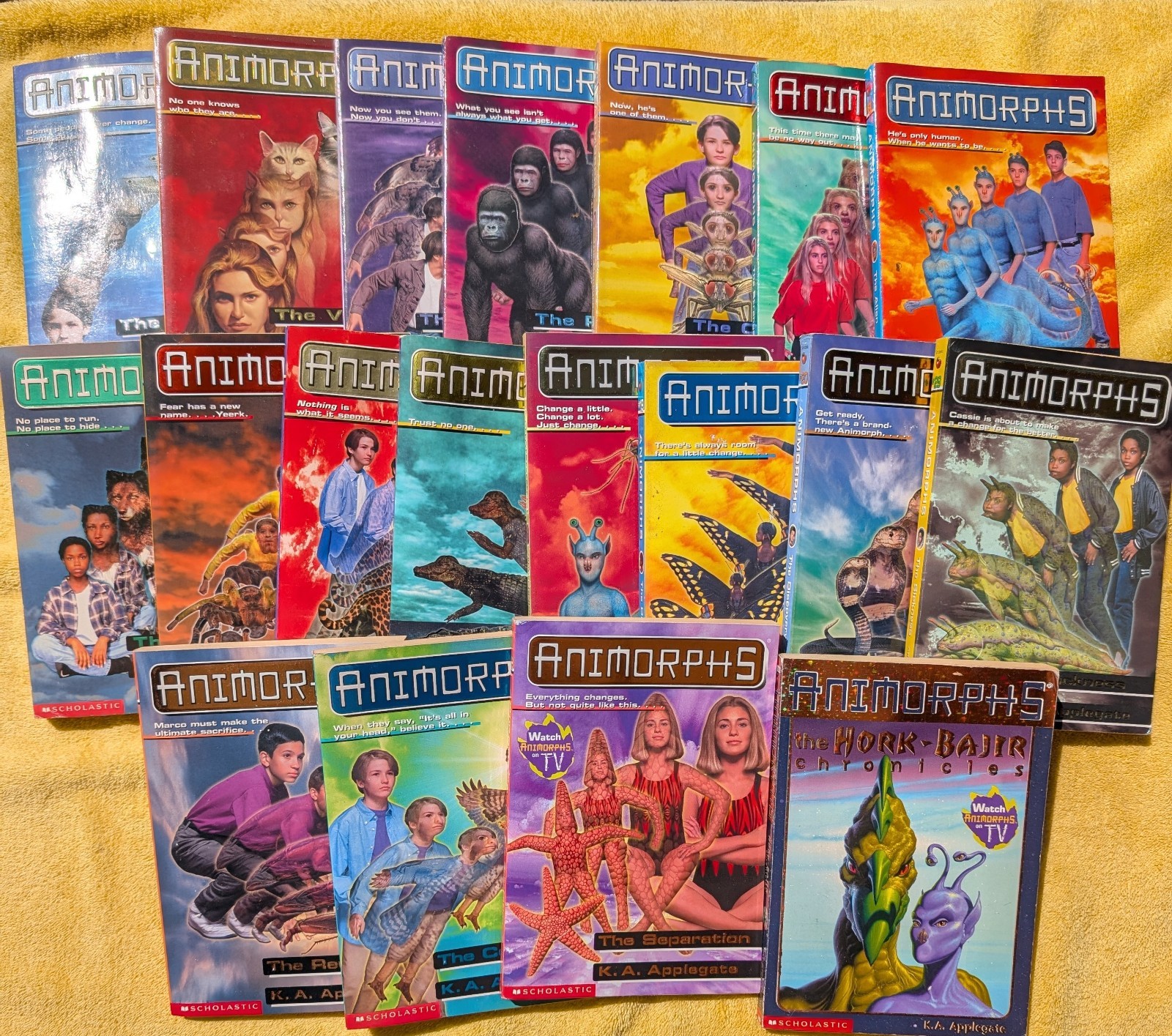 Animorphs Books Lot Of 19