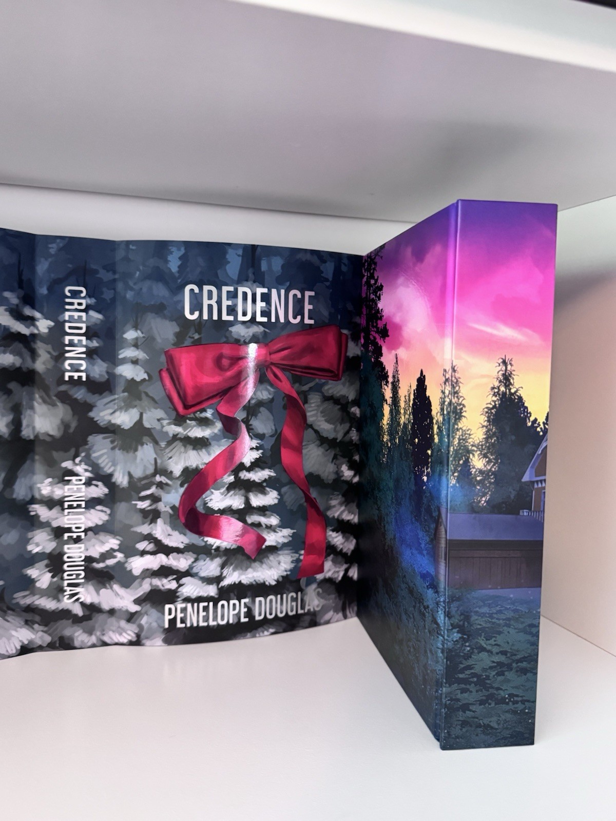 Credence By Penelope Douglas Books For Days Crate Special Edition Bfdc