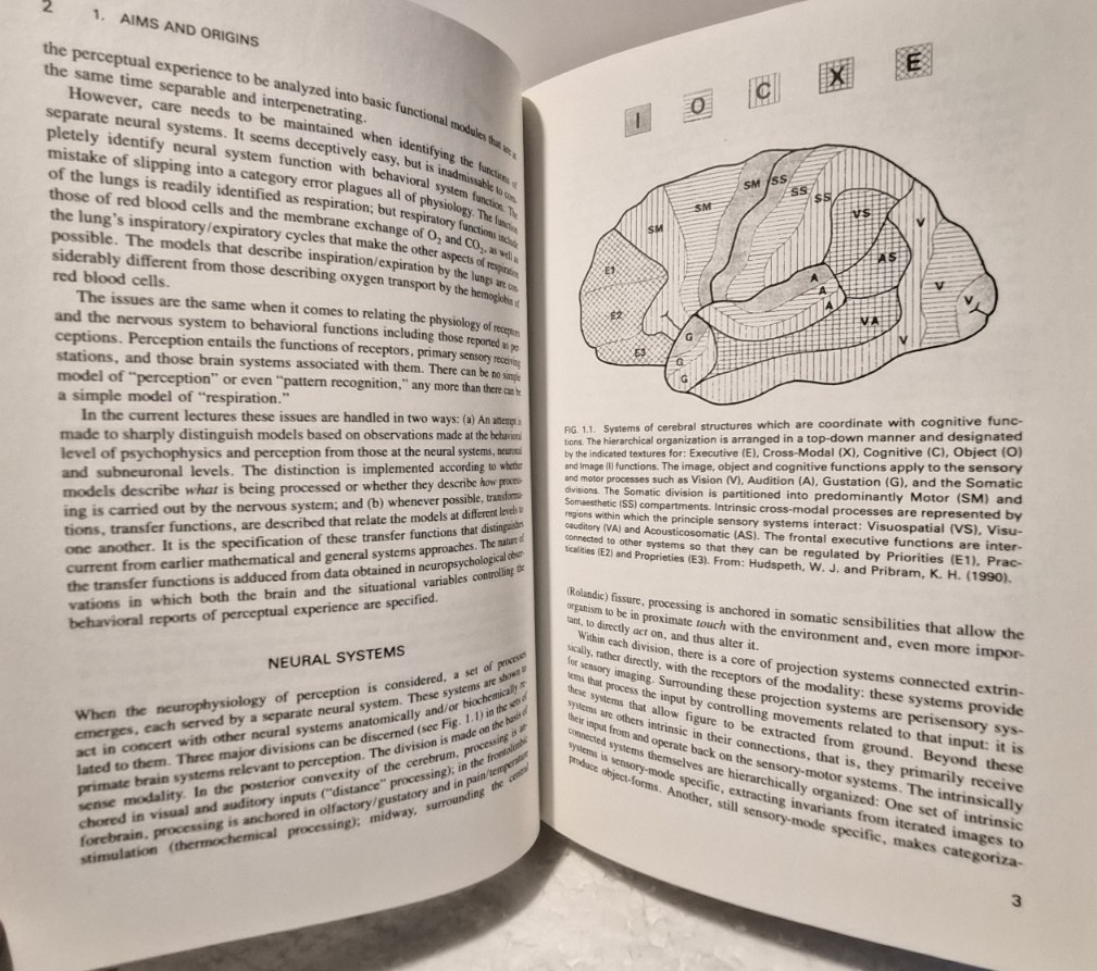 BRAIN AND PERCEPTION: K. H. Pribram HC/Very Good (see photos:)