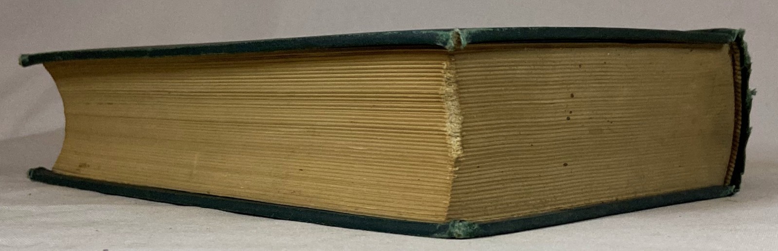 1898 THE FARMER’S ENCYCLOPEDIA Equestrian & Agriculture MAGNER Antique Farming
