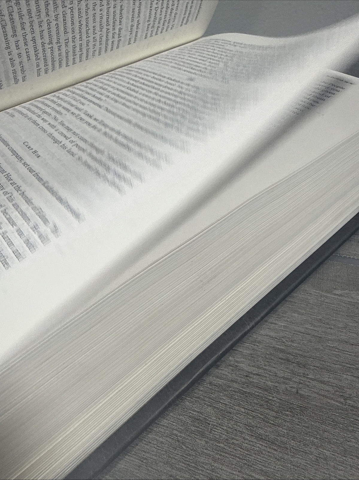 The Message Study Bible: Capturing the Notes and Reflections of Eugene Peterson
