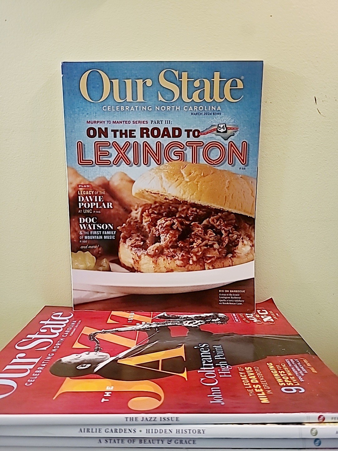 Our State Celebrating North Carolina Magazine Lot of 17 Various Issues 2023-2024