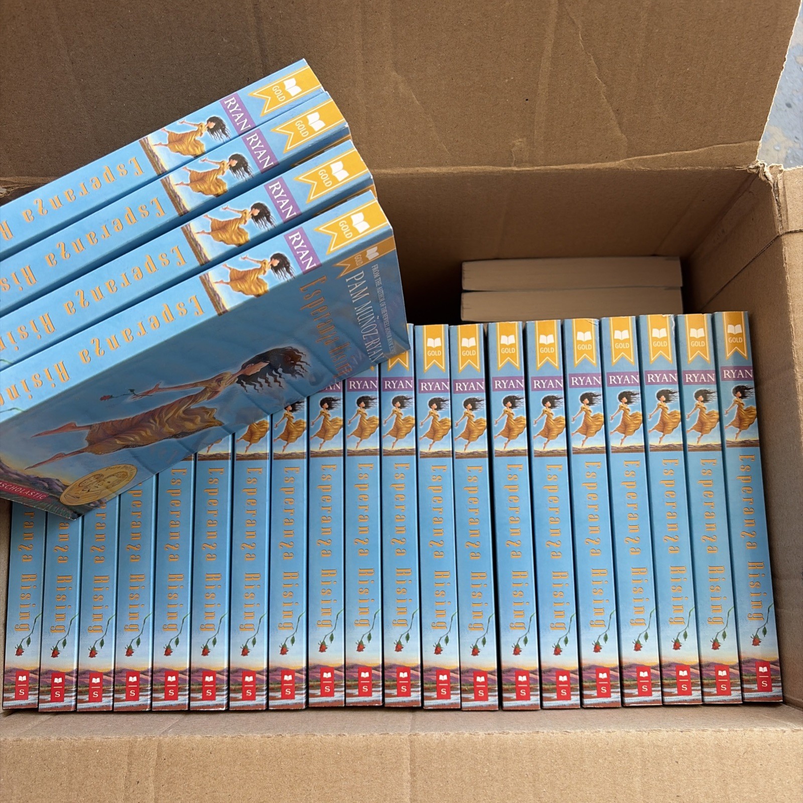 Esperanza Rising (Classroom Set Of 50) Pam Muoz Ryan guided reading