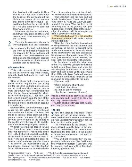 NIV Radiant Virtues Bible: A Beautiful Word Collection-Coloring Pages NEW IN BOX