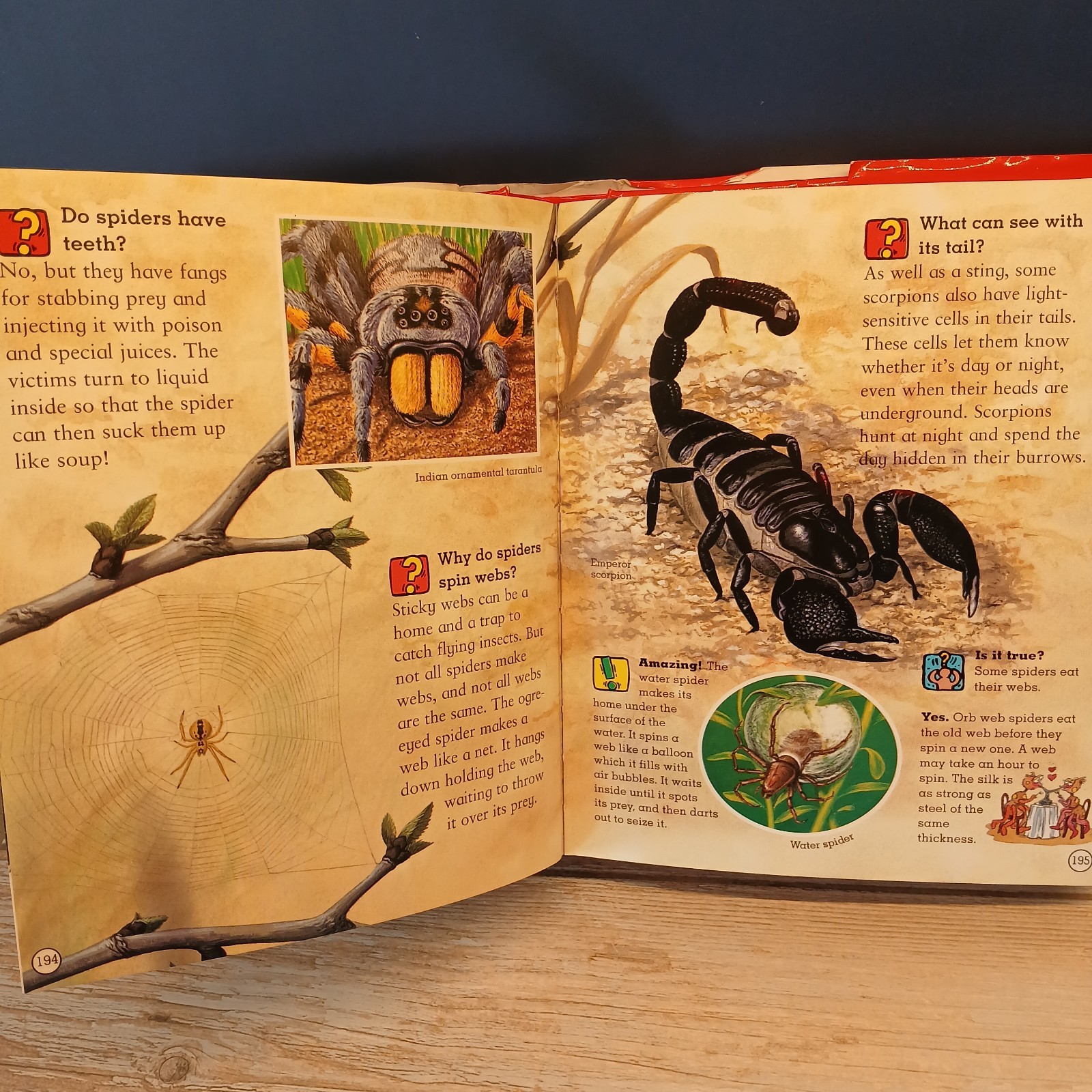 Amazing Questions & Answers Book, 512 Colorful Pages of Amazing Facts, 2004 EUC