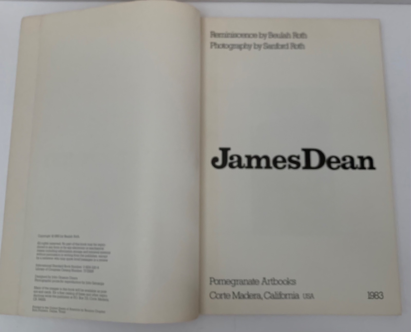 JAMES DEAN SANFORD ROTH 1983 LARGE ILLUSTRATED PHOTOGRAPHIC BOOK HOLLYWOOD FILM