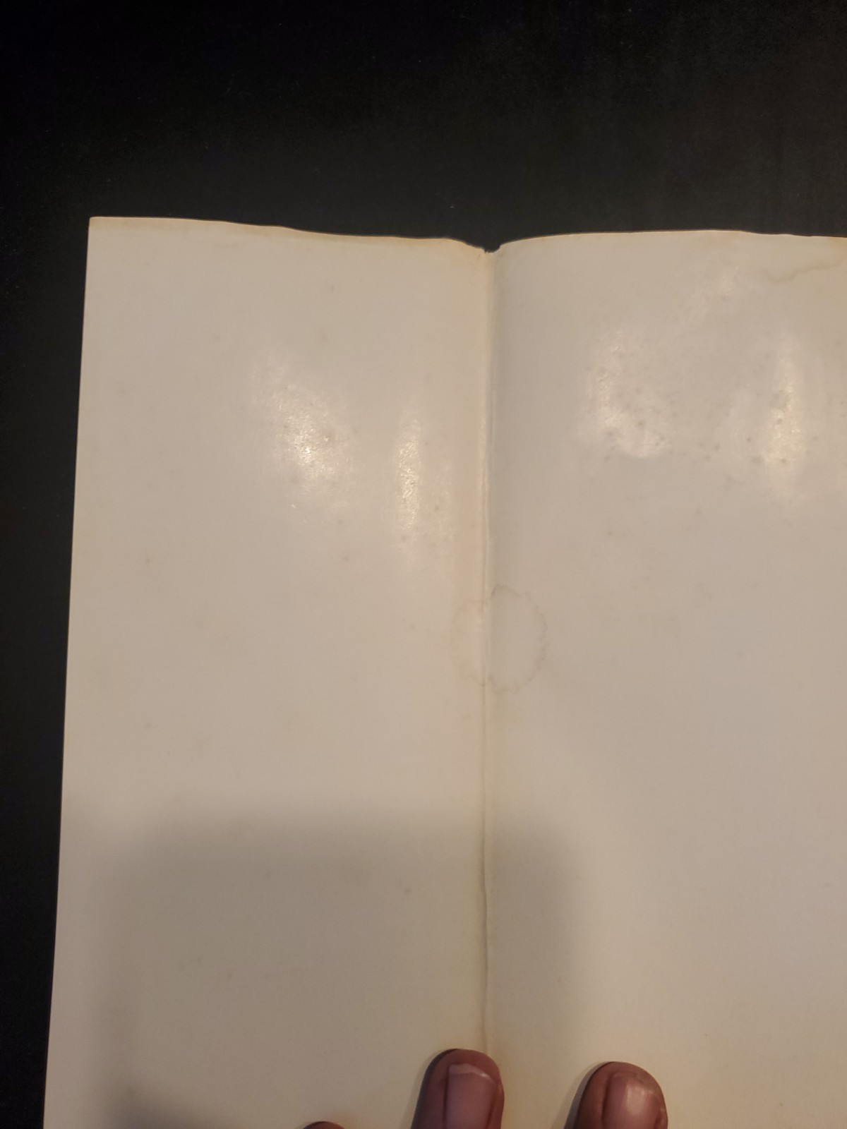 Stephen King FIRESTARTER 1980 Full Size BCE Hardcover Book Club Edition