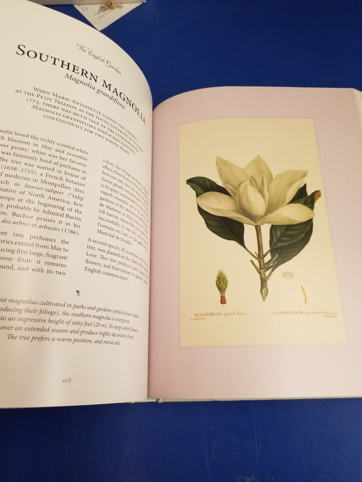 From Marie-Antoinette’s Garden