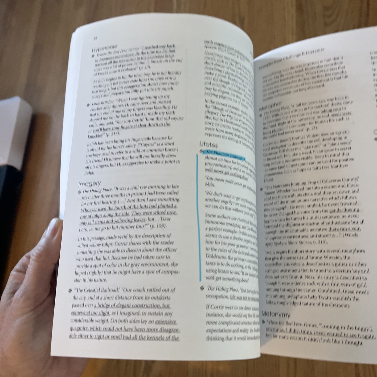 Wakeful Words : Classical Rhetorical Techniques in Literature by Classical…