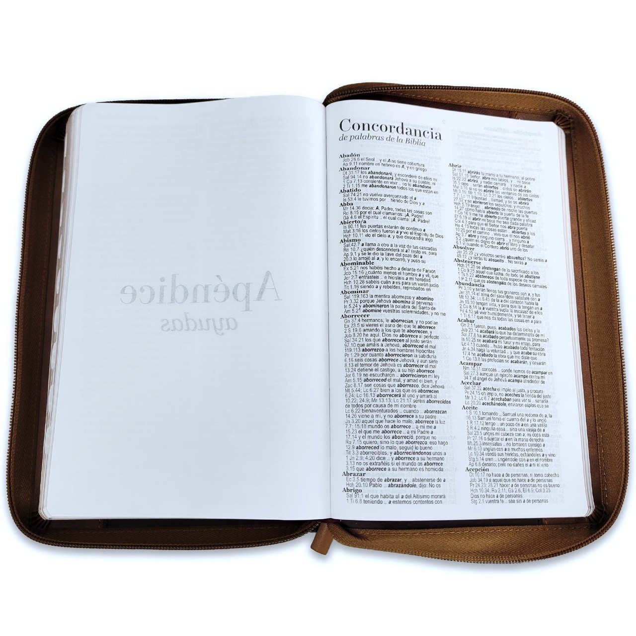 Biblia Letra Grande 12 puntos RV1960 imit piel cafe aguila con indice y cierre
