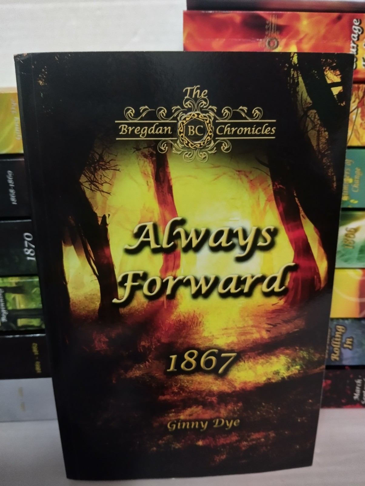 Bregdan Chronicles by Ginny Dye: Lot Of 19 Paperback Books Historical Fiction