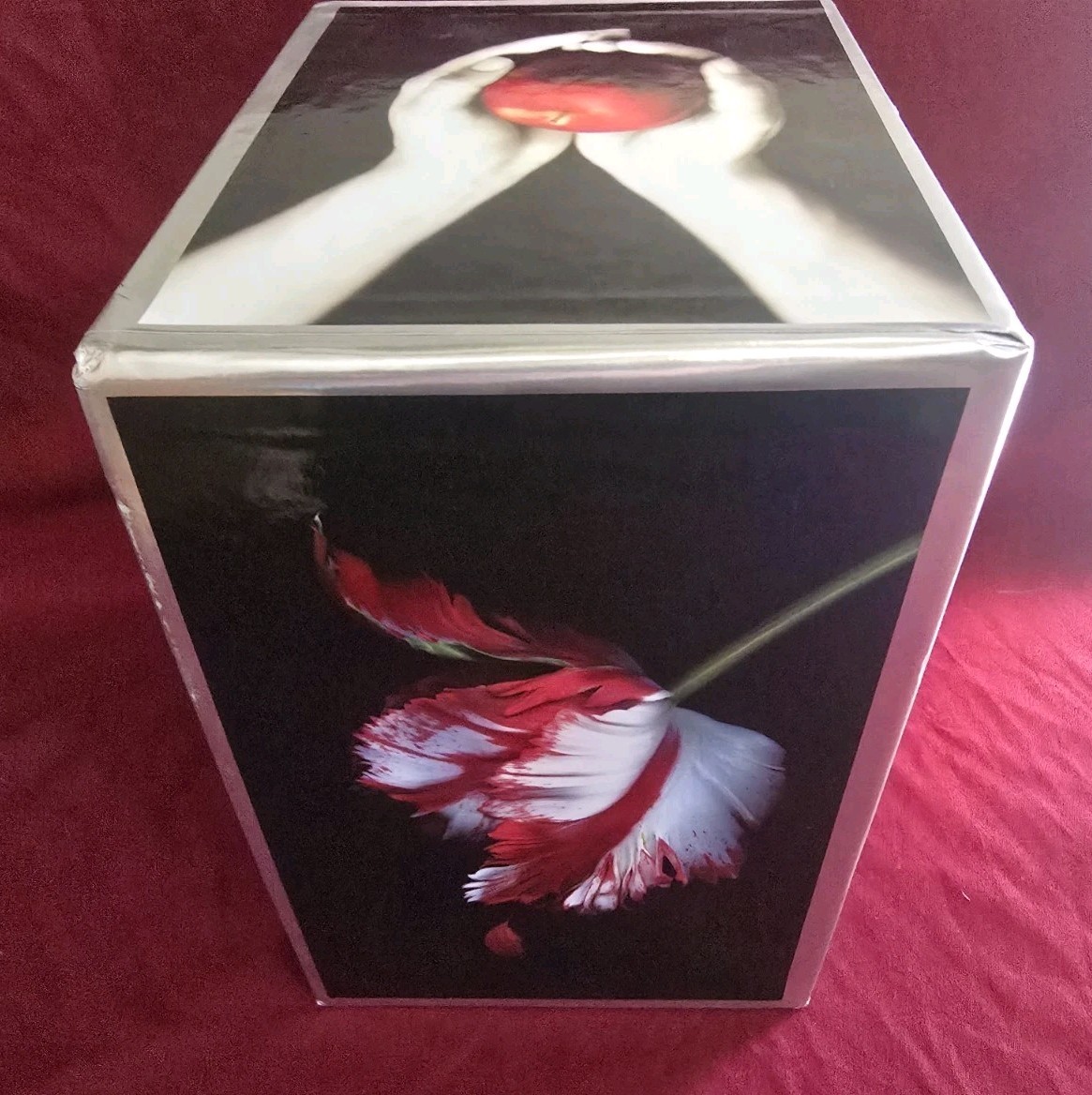 The Twilight Saga Ser.: The Twilight Saga Complete Collection by Stephenie Meyer