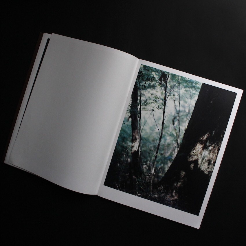 Materia Yoshihiko Ueda 2012 Japanese Photography Book Yakushima Landscape Forest