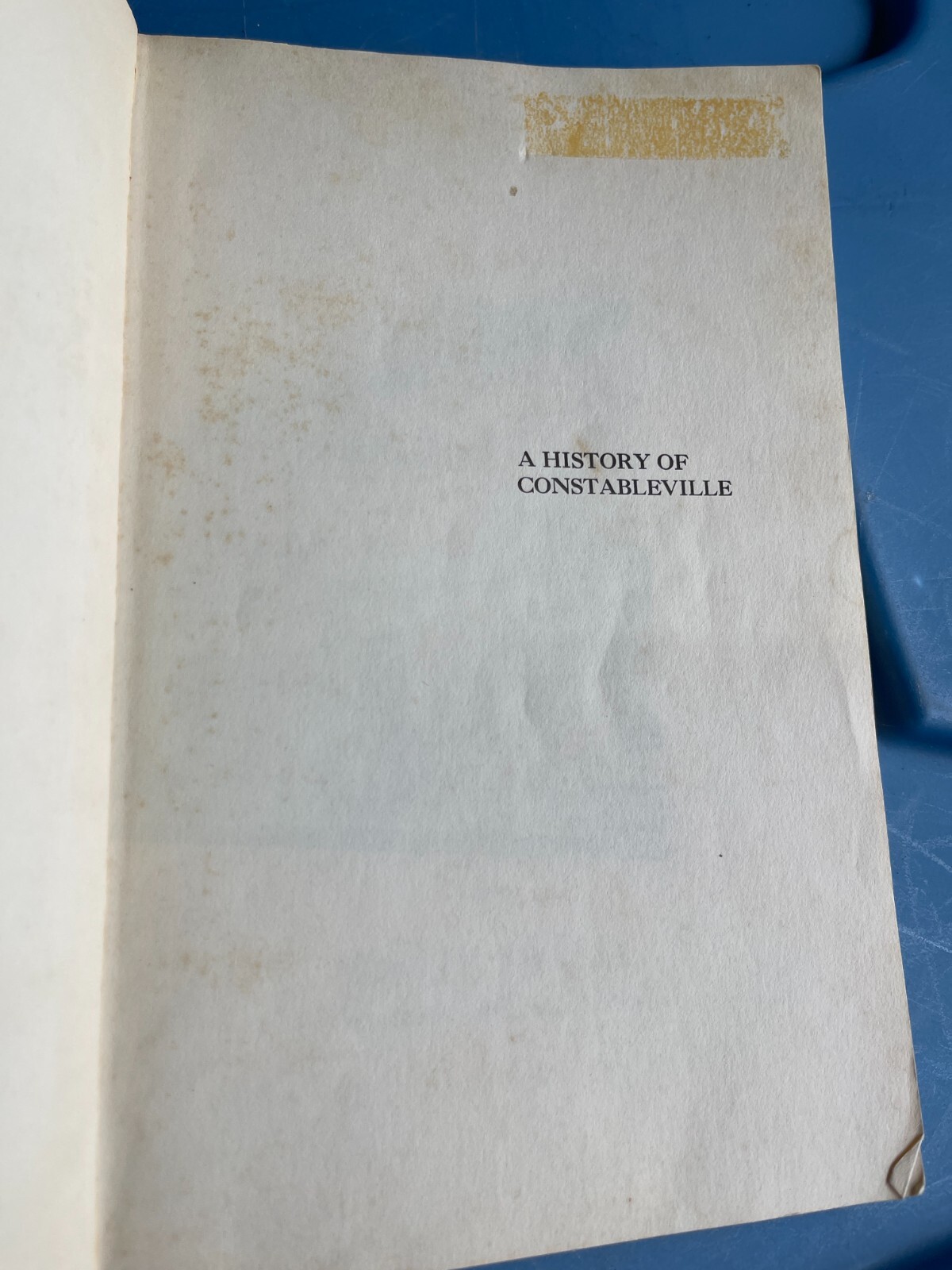 A History Of Constableville, By Mary E. Traxel, Paperback, 116 Pages NY New York