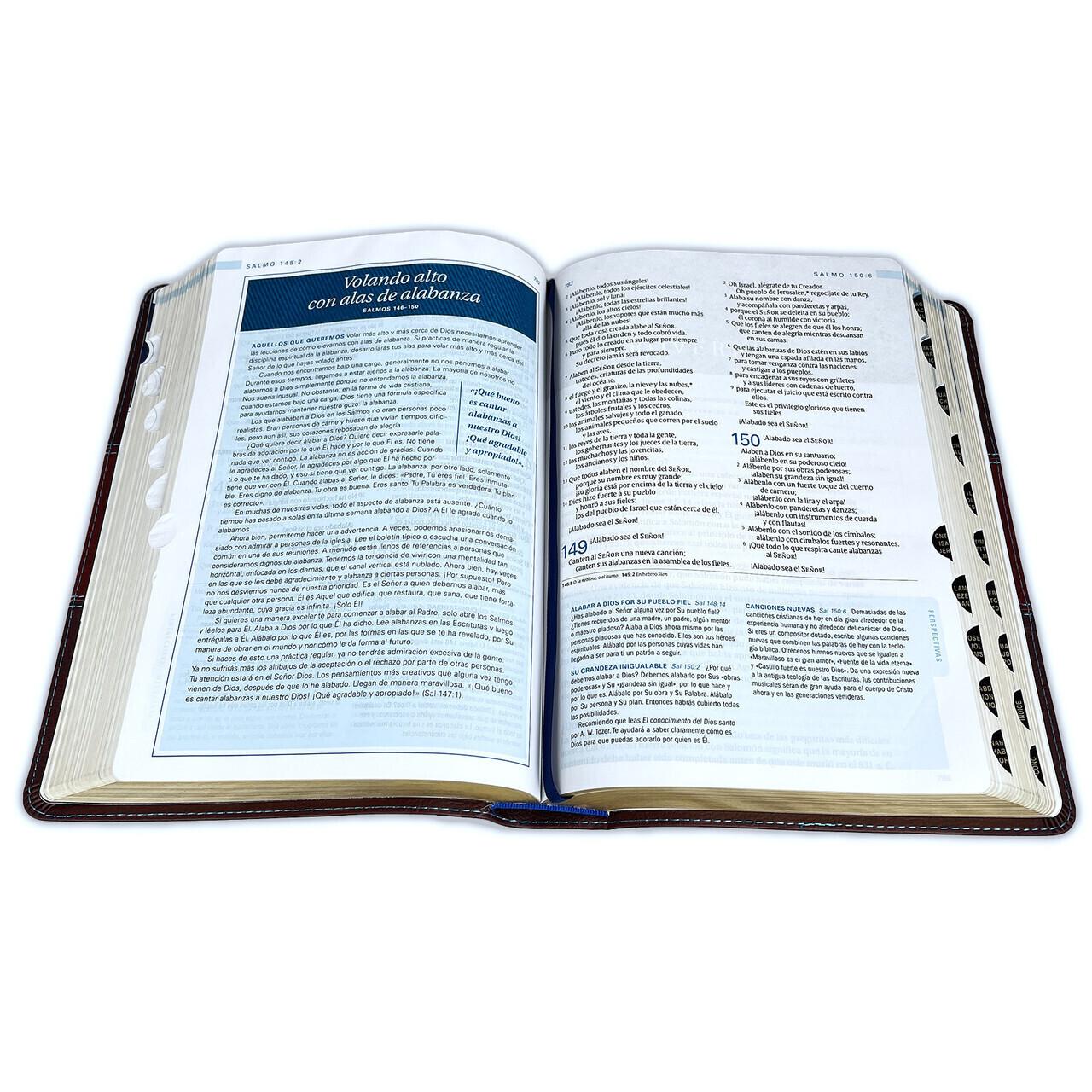 Biblia de Estudio Swindoll NTV: imit. piel duotono café con indice
