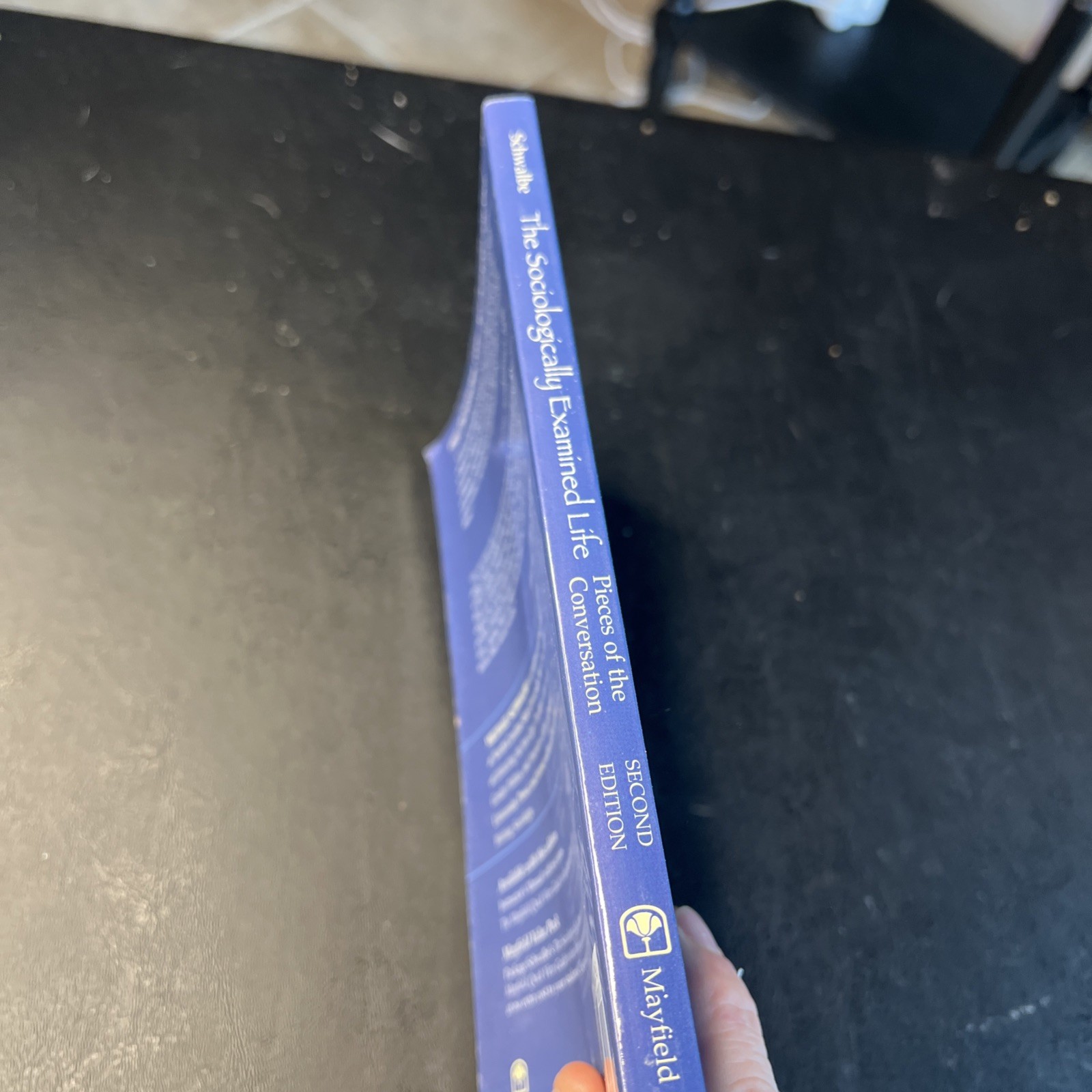 Sociologically Examined Life: Piece…, Schwalbe, Micha