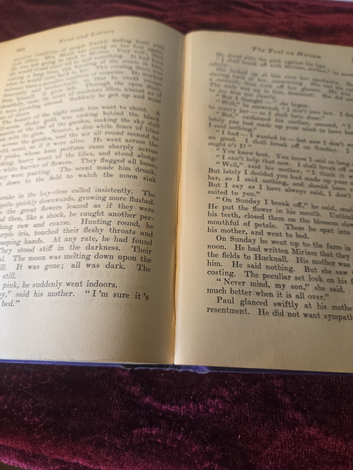 Sons and Lovers by D.H. LAWRENCE ~ First Edition 1913 ~ 1st US Printing