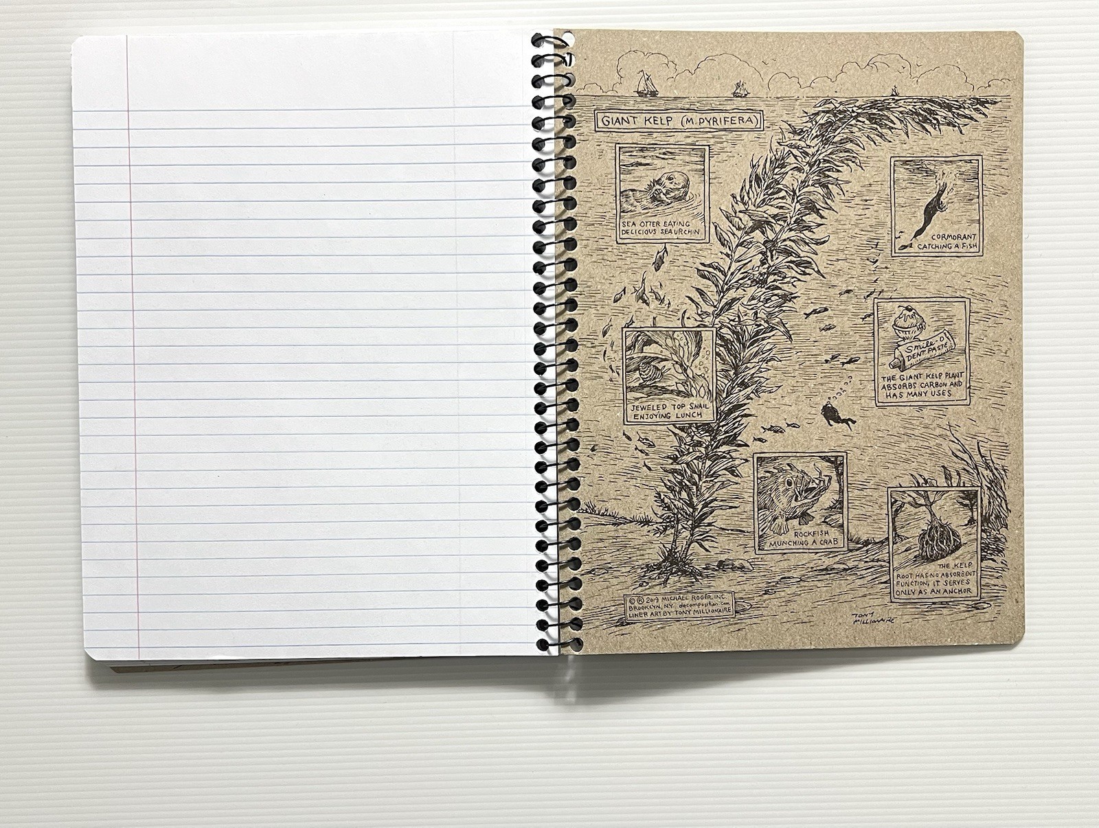 Decomposition Book by Roger Humpback Whale Design 9.75IN X 7.5IN Notebook SB