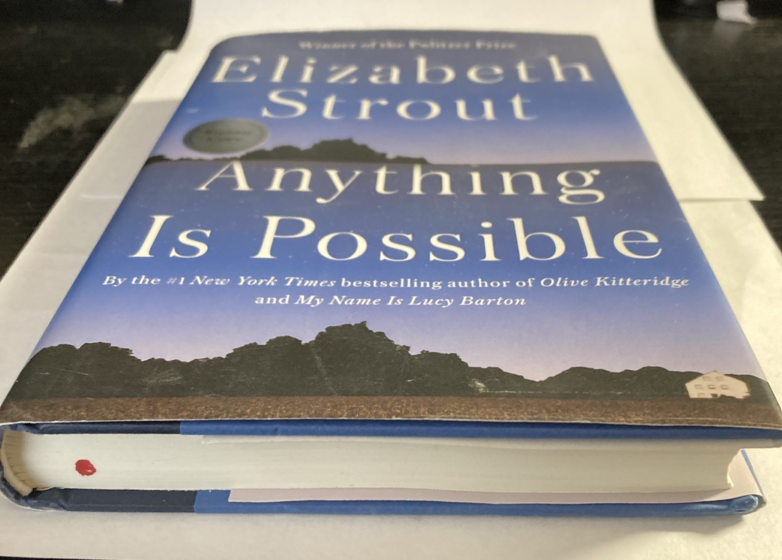Anything Is Possible :signed By Elizabeth Strout (2017, Hardcover), 1st Ed