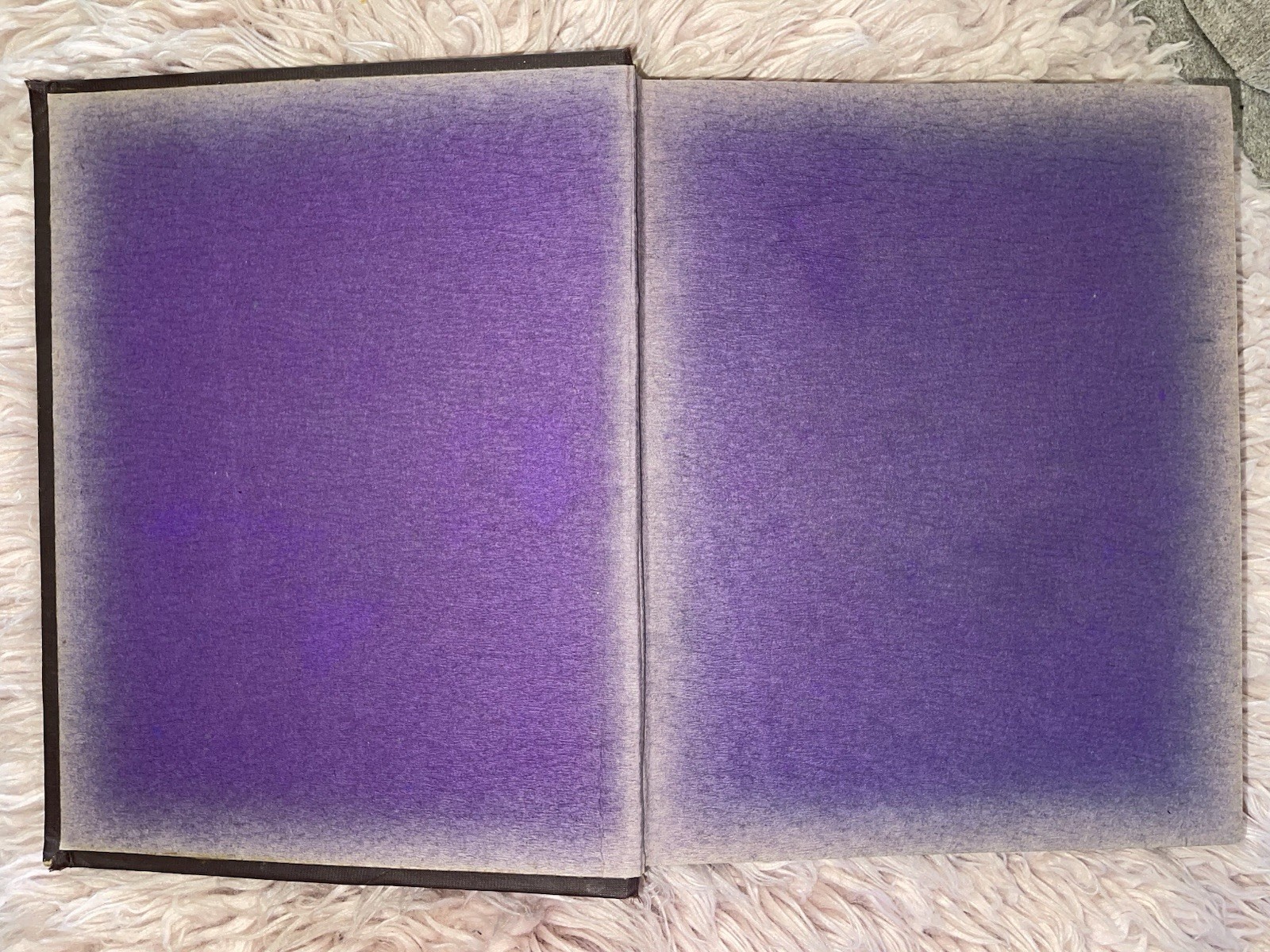 1902 The Catholic Church Alone Five Volumes In One By Rev. M. A. White✝️👀☚☚☚☚☚
