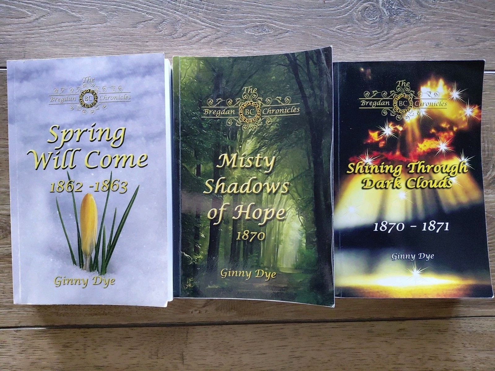 Bregdan Chronicles Set Ginny Dye Lot 3 Spring Will Come Misty Shadows BUN2