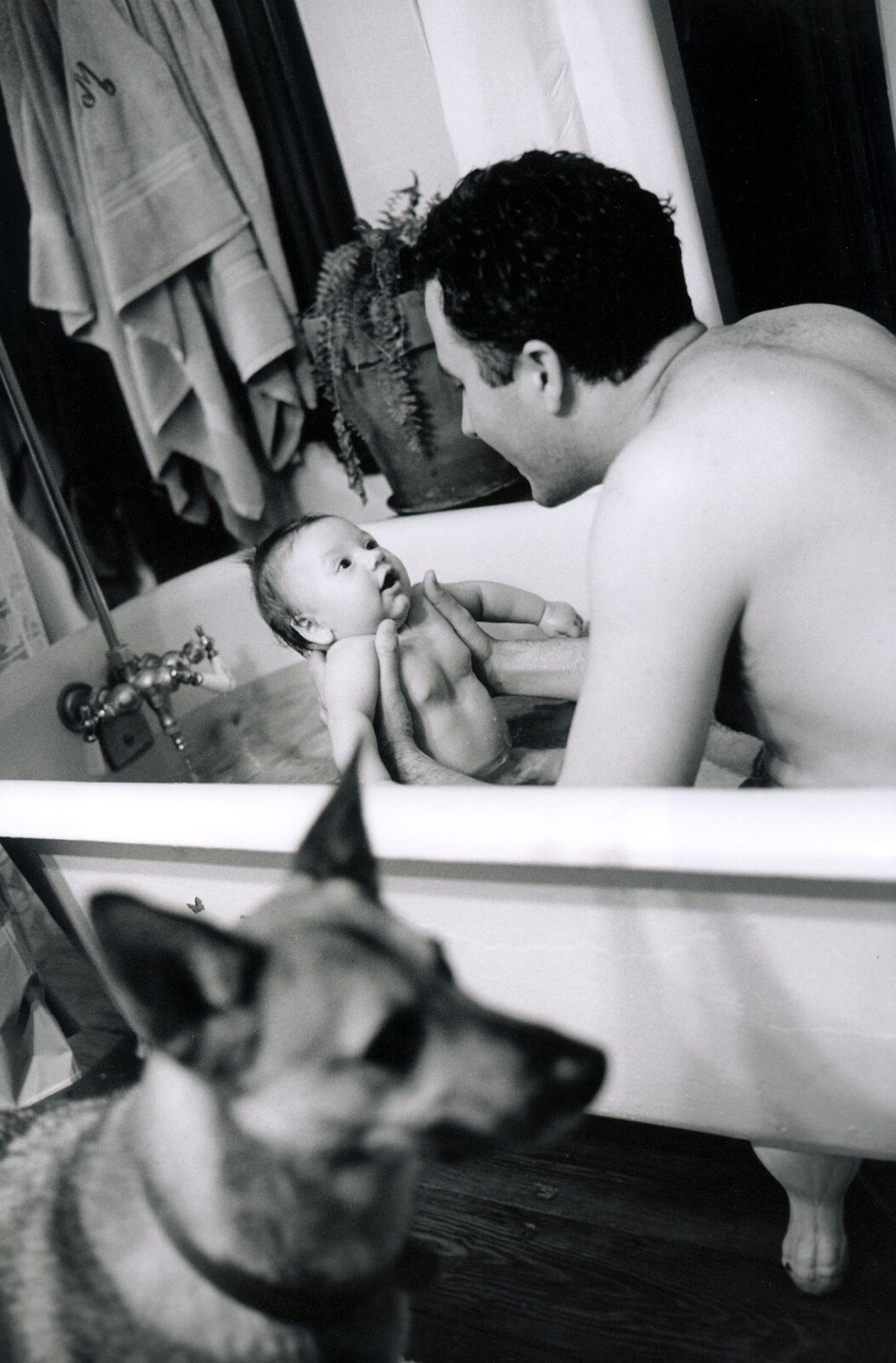 PRE-ORDER Stephen Shames: a lifetime in photography SIGNED will ship January