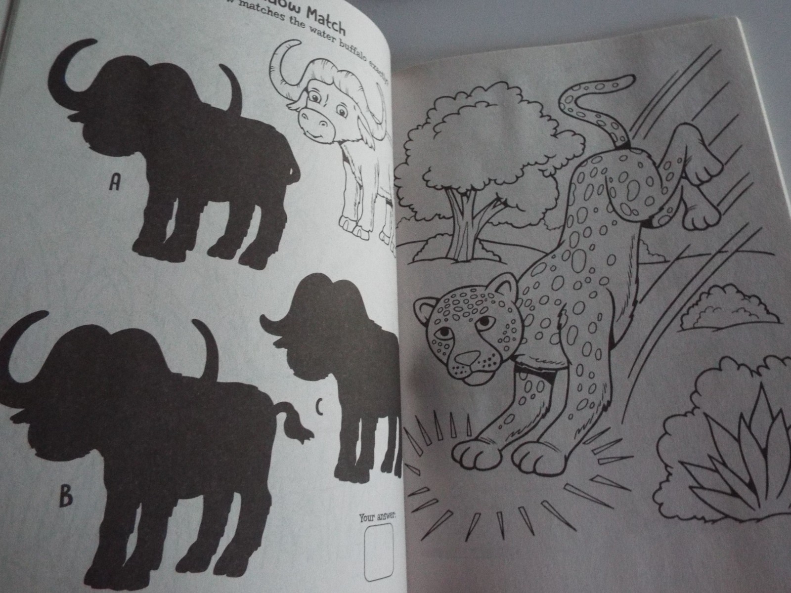 2: Disney Animal Friends Jumbo Coloring &Activity Book & Dreamtivity Stay Wild