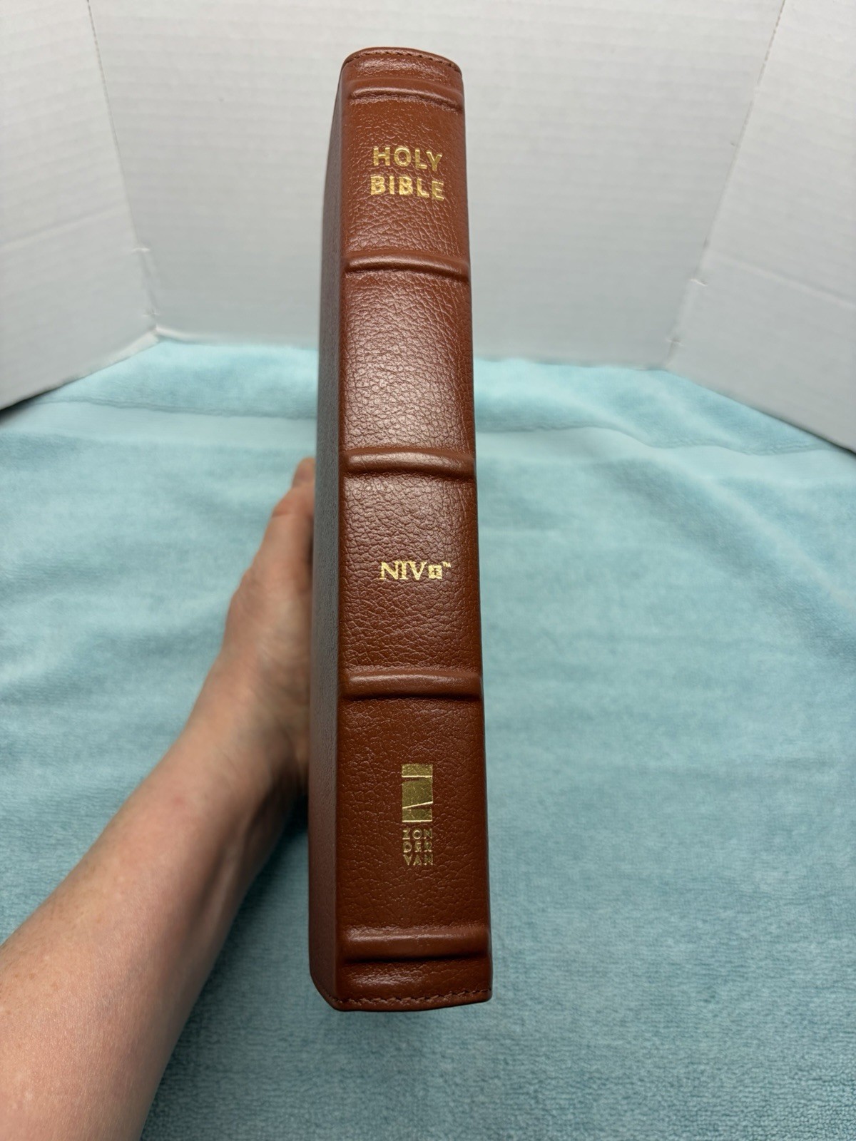 NIV Thinline Bible, Giant Print, Genuine Leather, Buffalo, Red Letter Edition